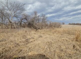 Mercer County, Missouri 80 Acres For Sale
