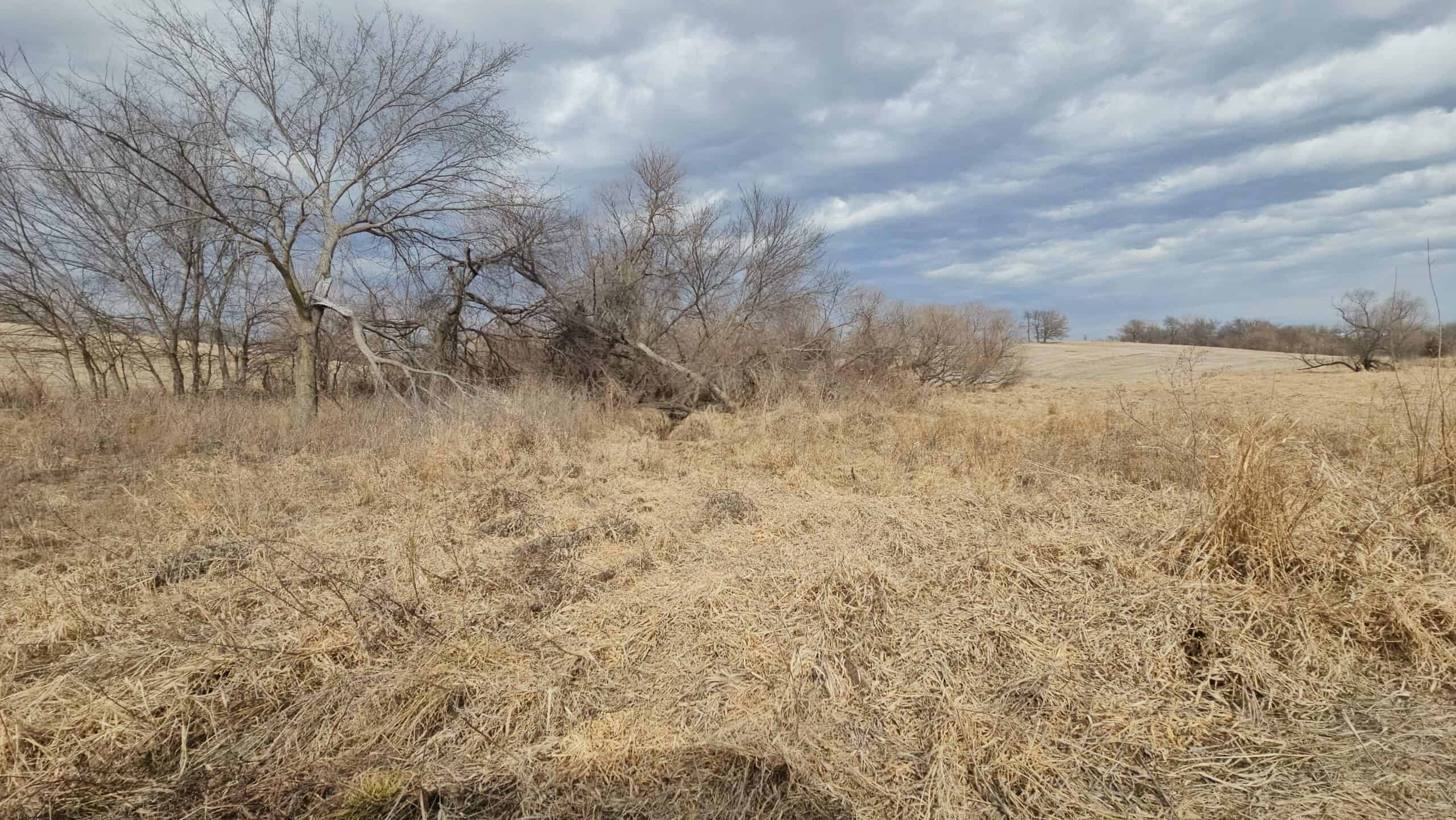 Mercer County, Missouri 80 Acres For Sale