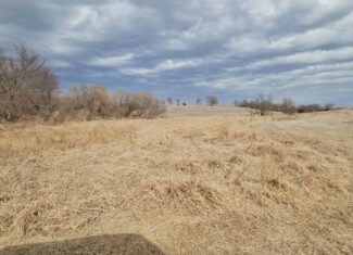 Mercer County, Missouri 80 Acres For Sale