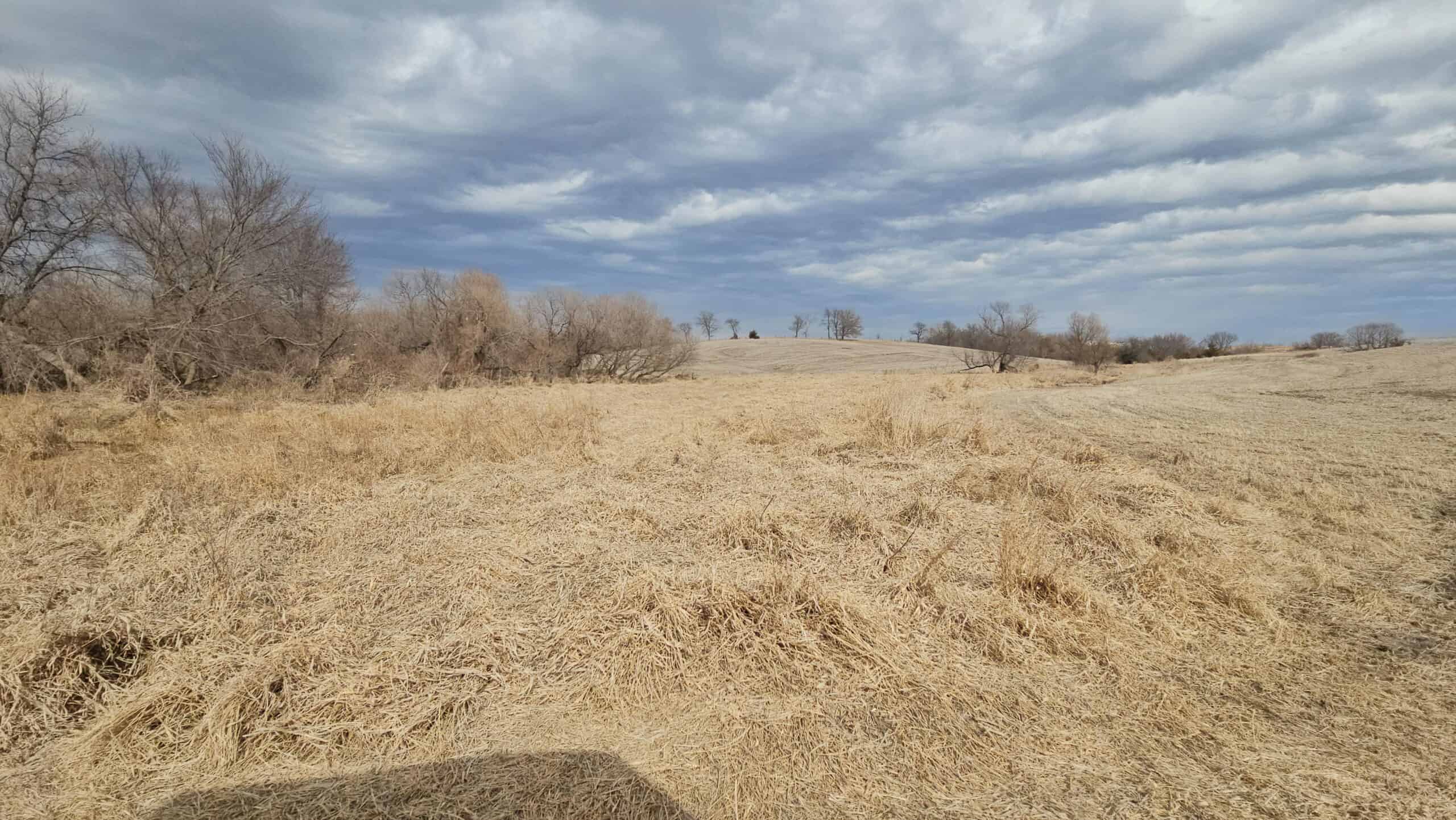 Mercer County, Missouri 80 Acres For Sale