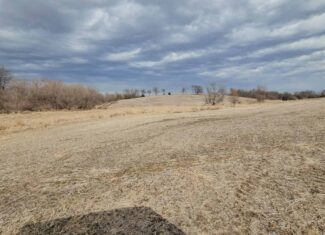 Mercer County, Missouri 80 Acres For Sale