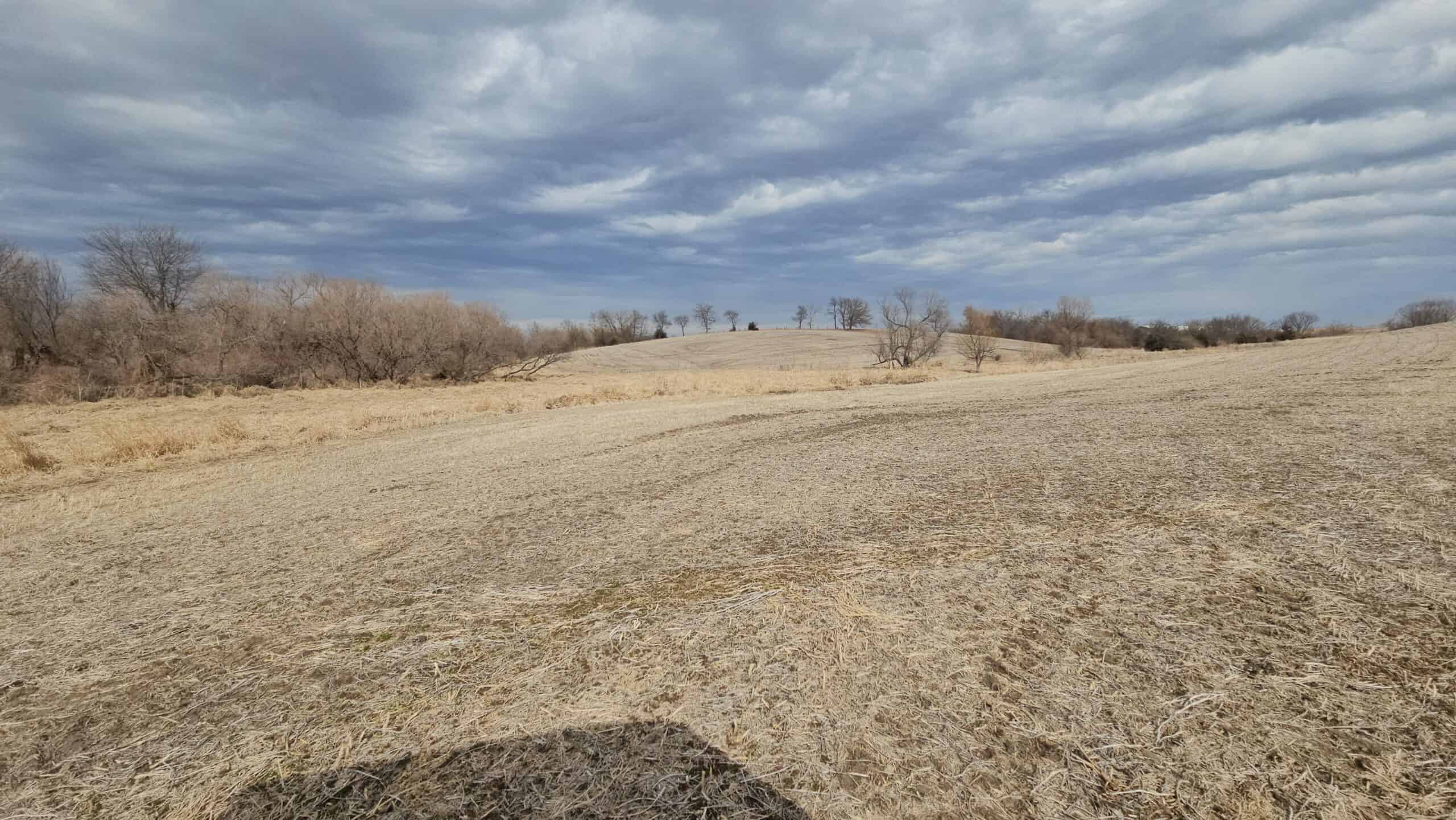 Mercer County, Missouri 80 Acres For Sale