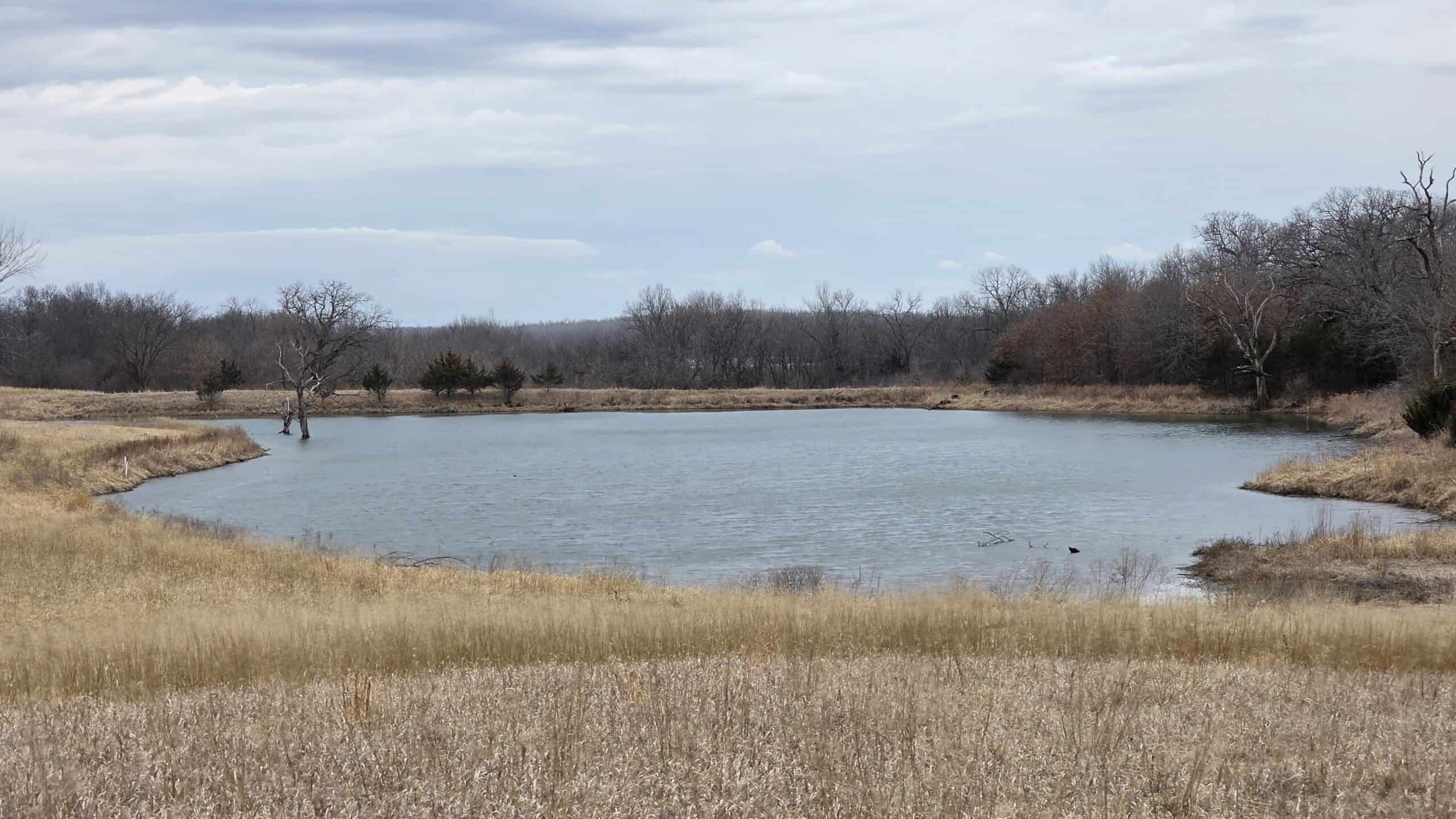 57 Acres With Home And Shop