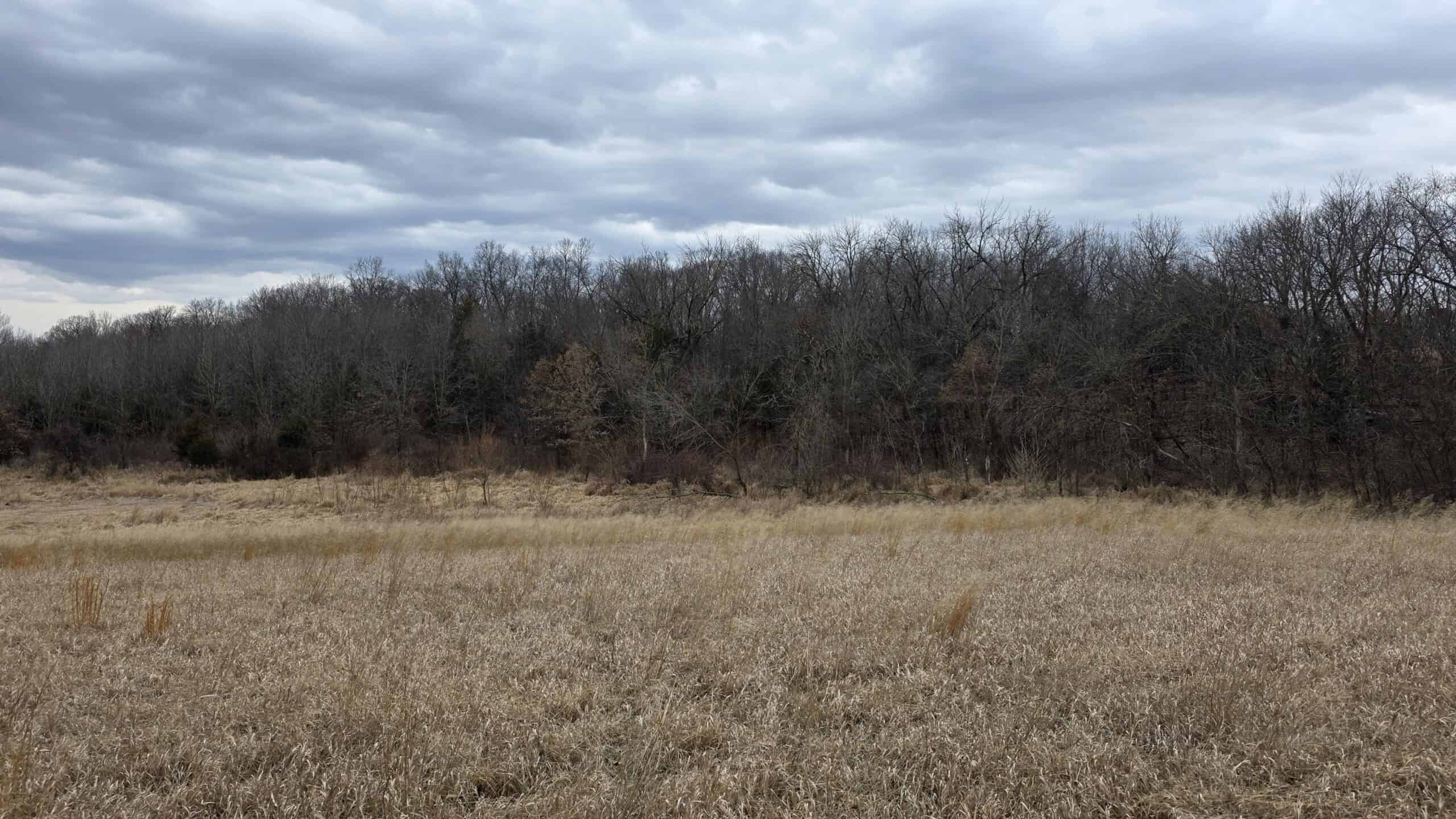 57 Acres With Home And Shop