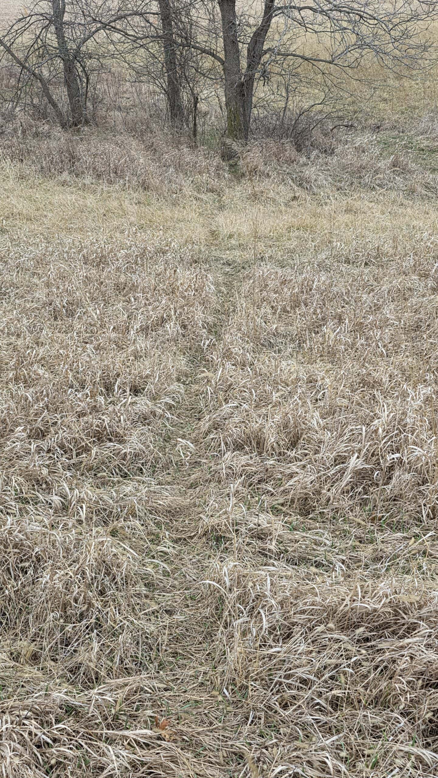 57 Acres With Home And Shop