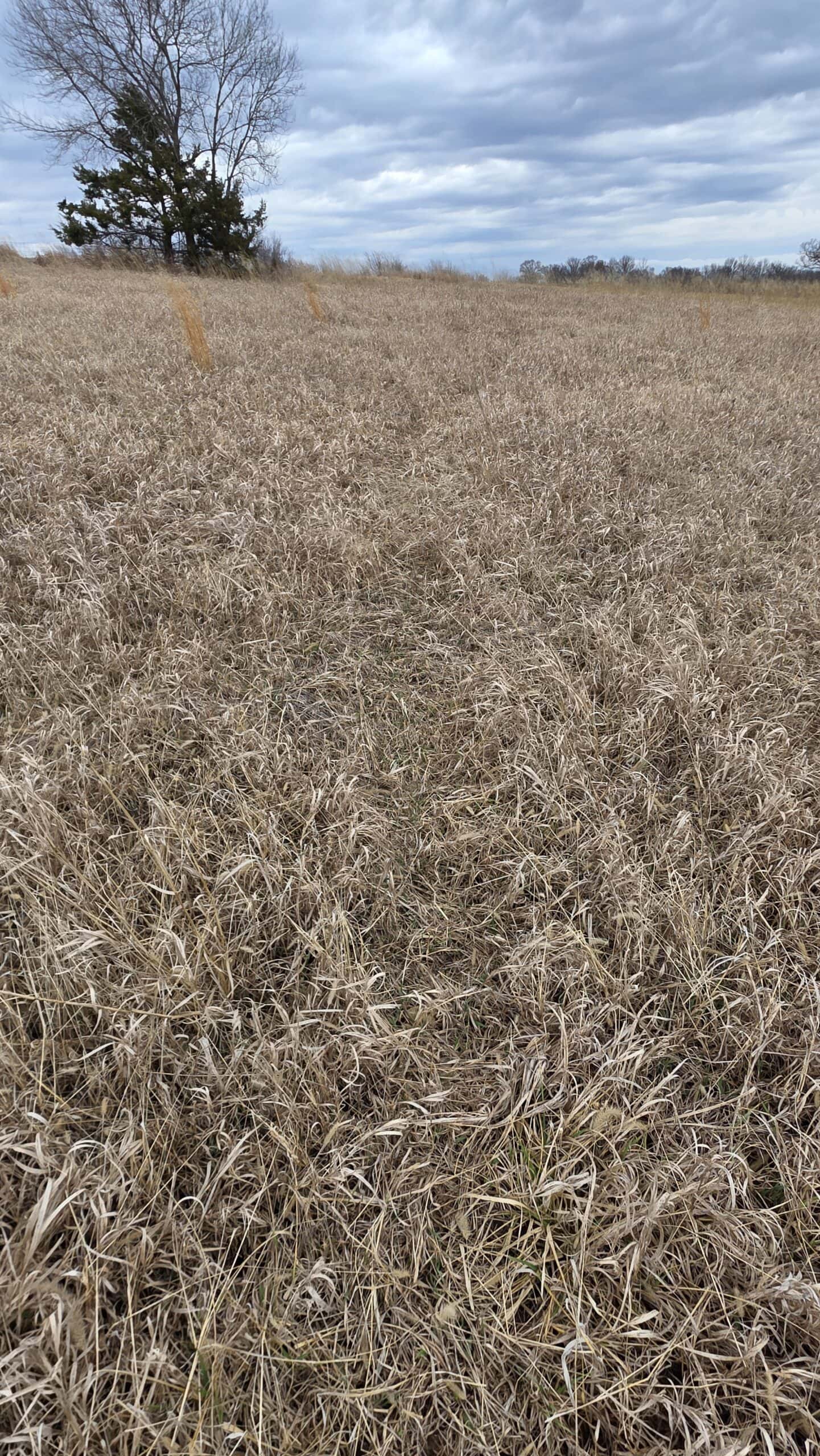 57 Acres With Home And Shop