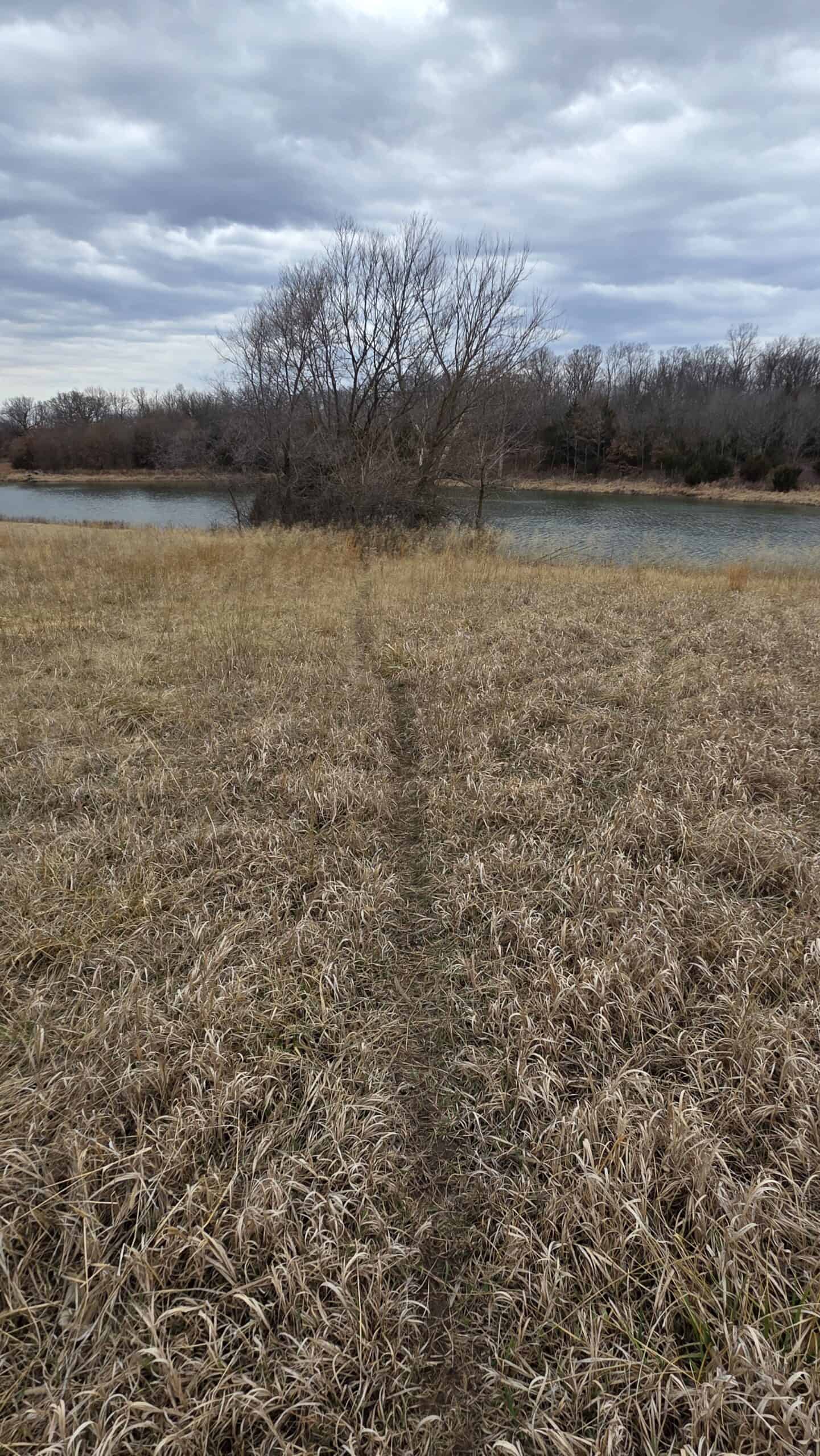 57 Acres With Home And Shop