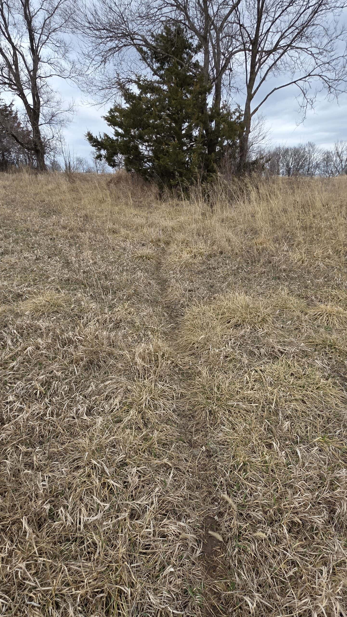 57 Acres With Home And Shop