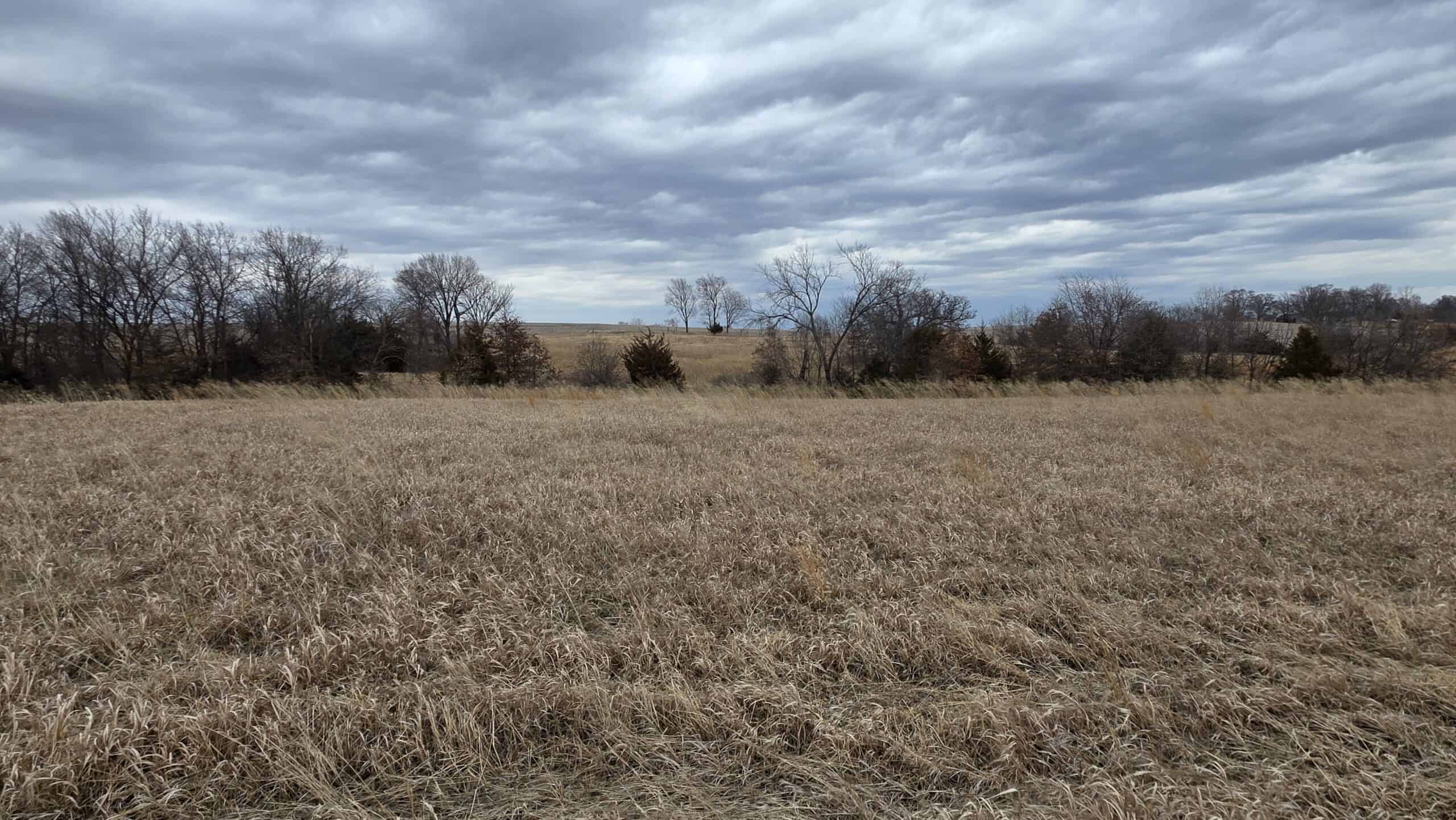 57 Acres With Home And Shop