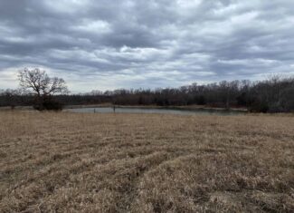 57 Acres With Home And Shop