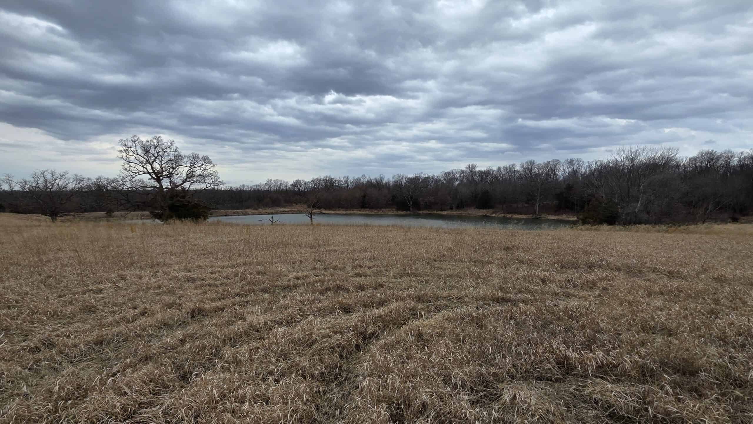 57 Acres With Home And Shop