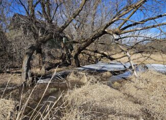 95± Acres Driftless Hunting & Recreational Land Richland County, Wisconsin