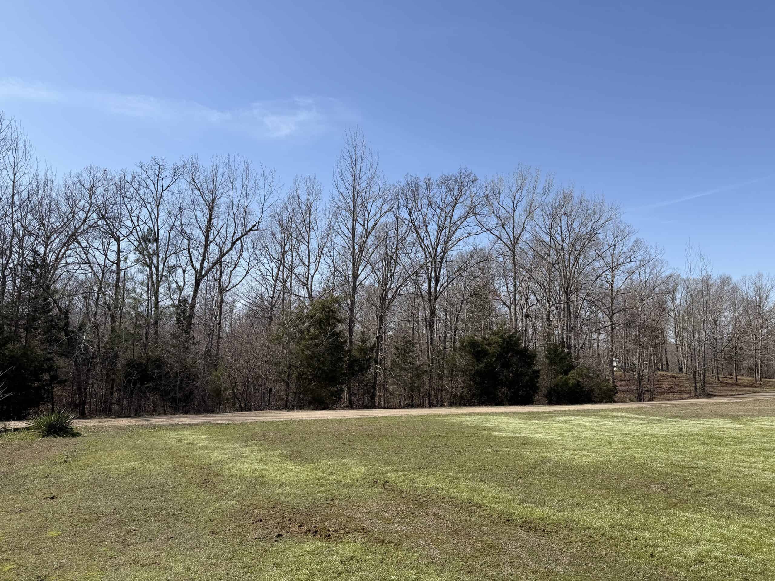 LAND & HOME FOR SALE IN TN, BASEMENT, WELL, CREEK, WOODED