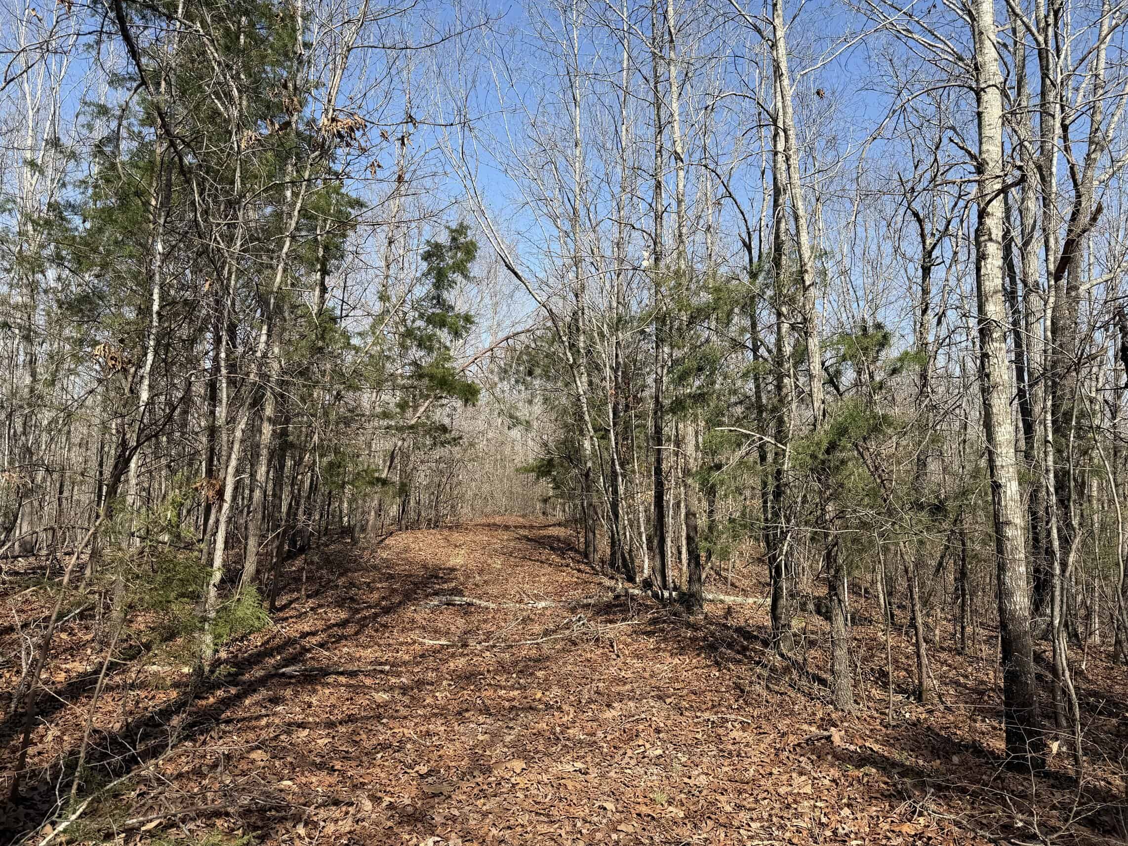 LAND & HOME FOR SALE IN TN, BASEMENT, WELL, CREEK, WOODED