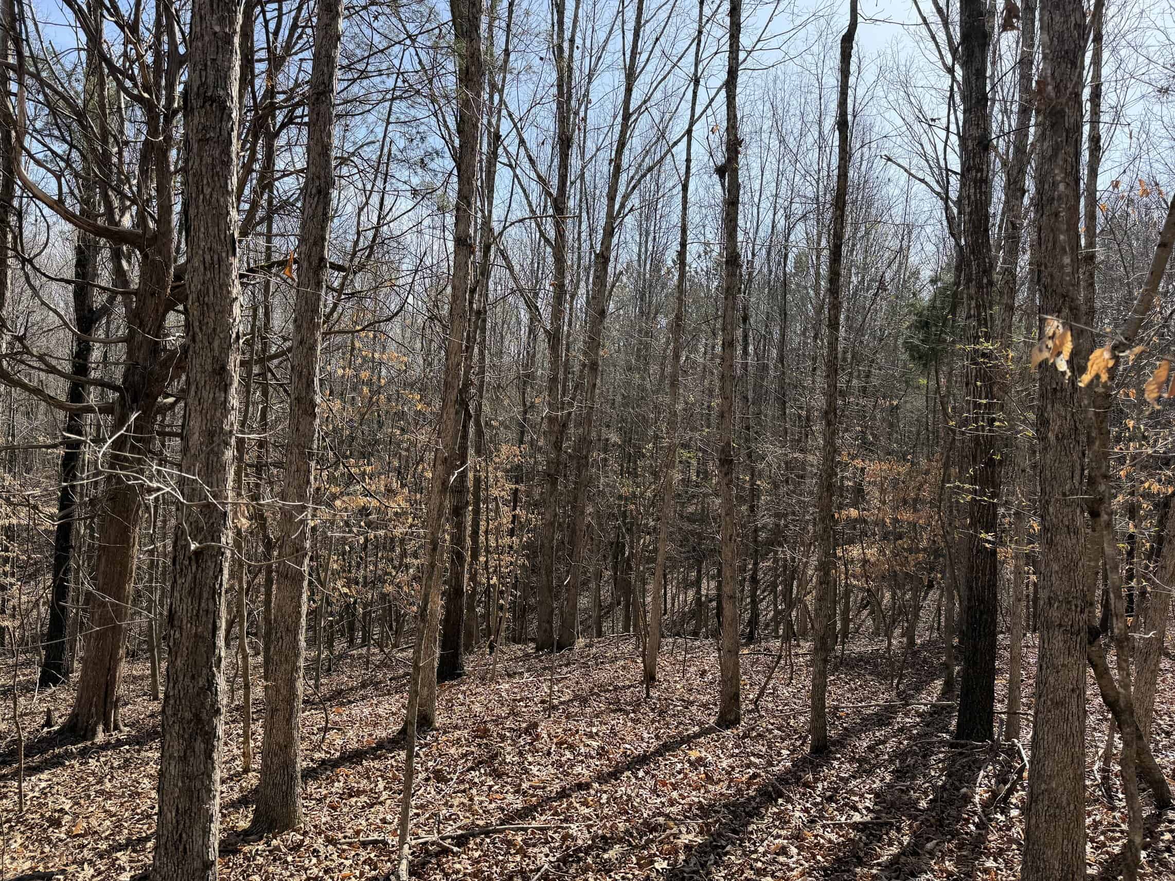 LAND & HOME FOR SALE IN TN, BASEMENT, WELL, CREEK, WOODED