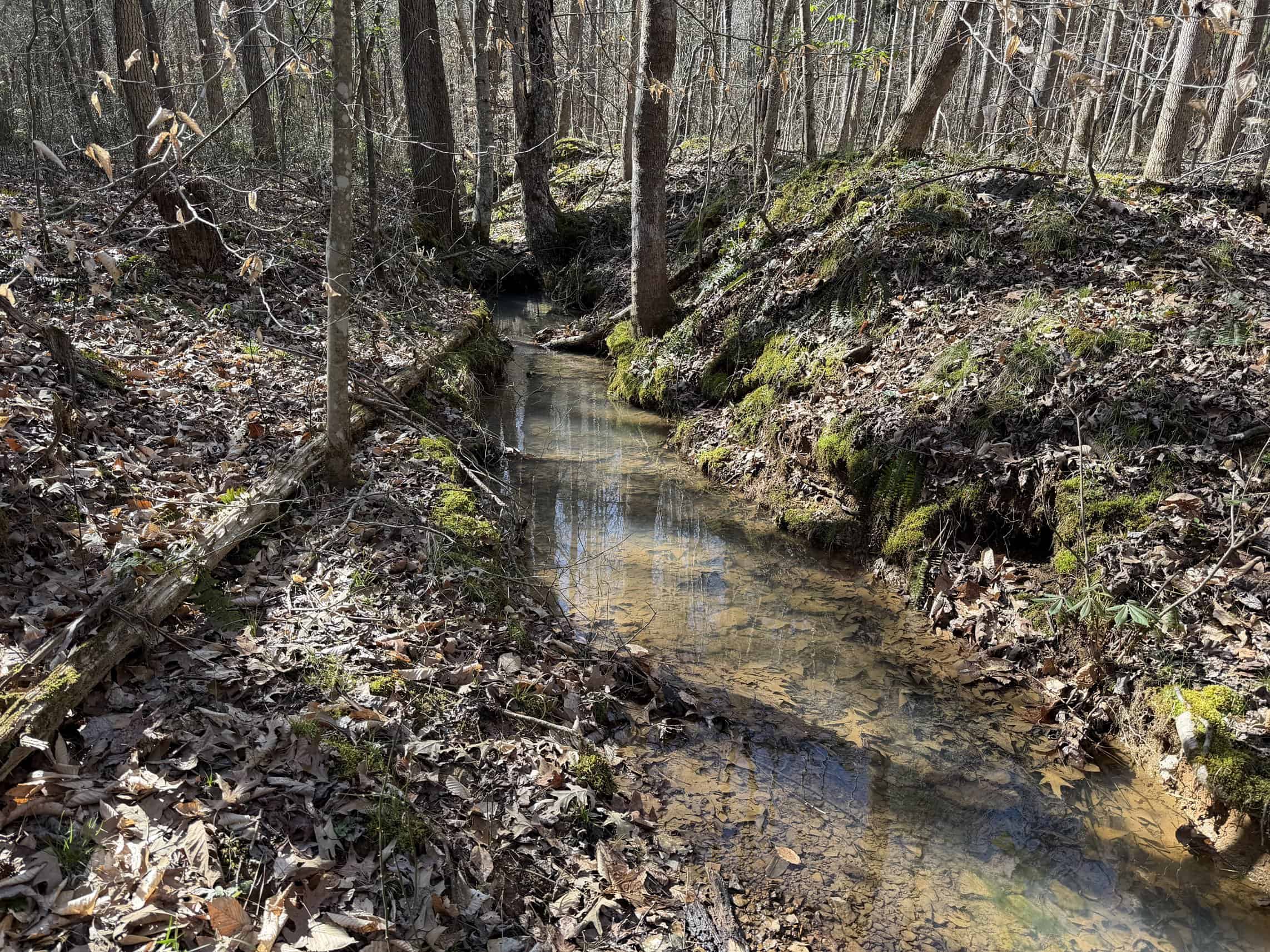 LAND & HOME FOR SALE IN TN, BASEMENT, WELL, CREEK, WOODED