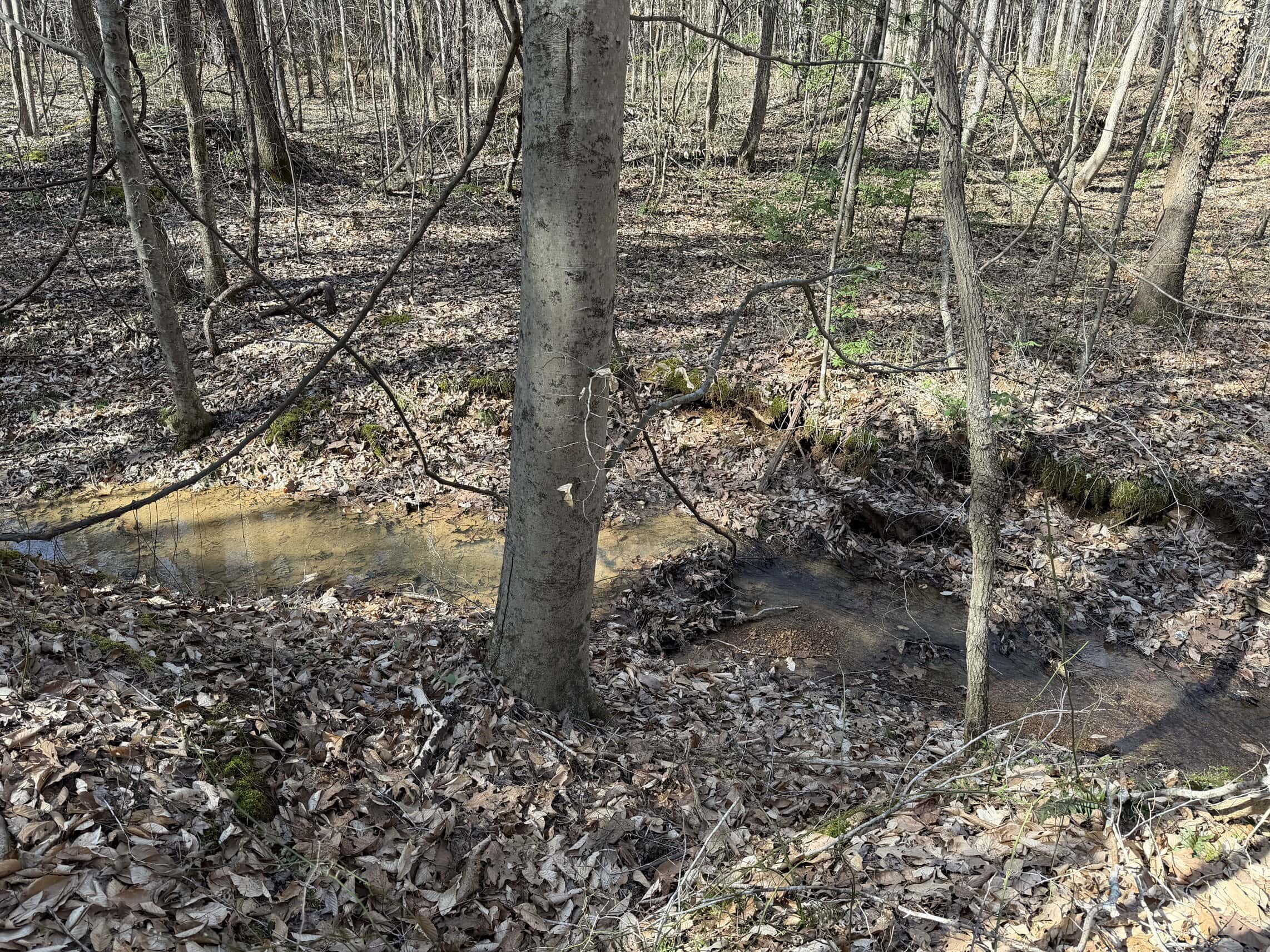 LAND & HOME FOR SALE IN TN, BASEMENT, WELL, CREEK, WOODED