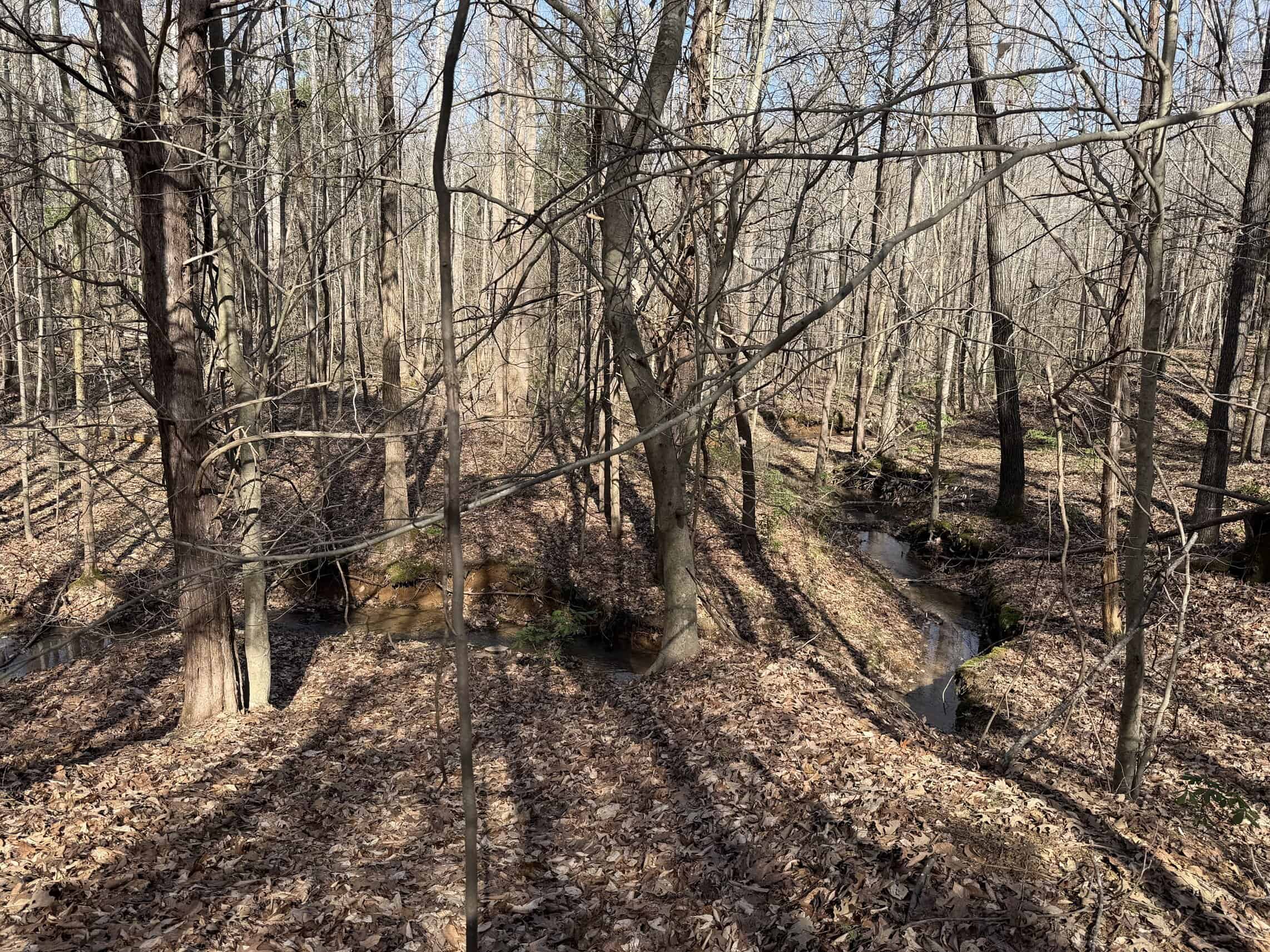 LAND & HOME FOR SALE IN TN, BASEMENT, WELL, CREEK, WOODED