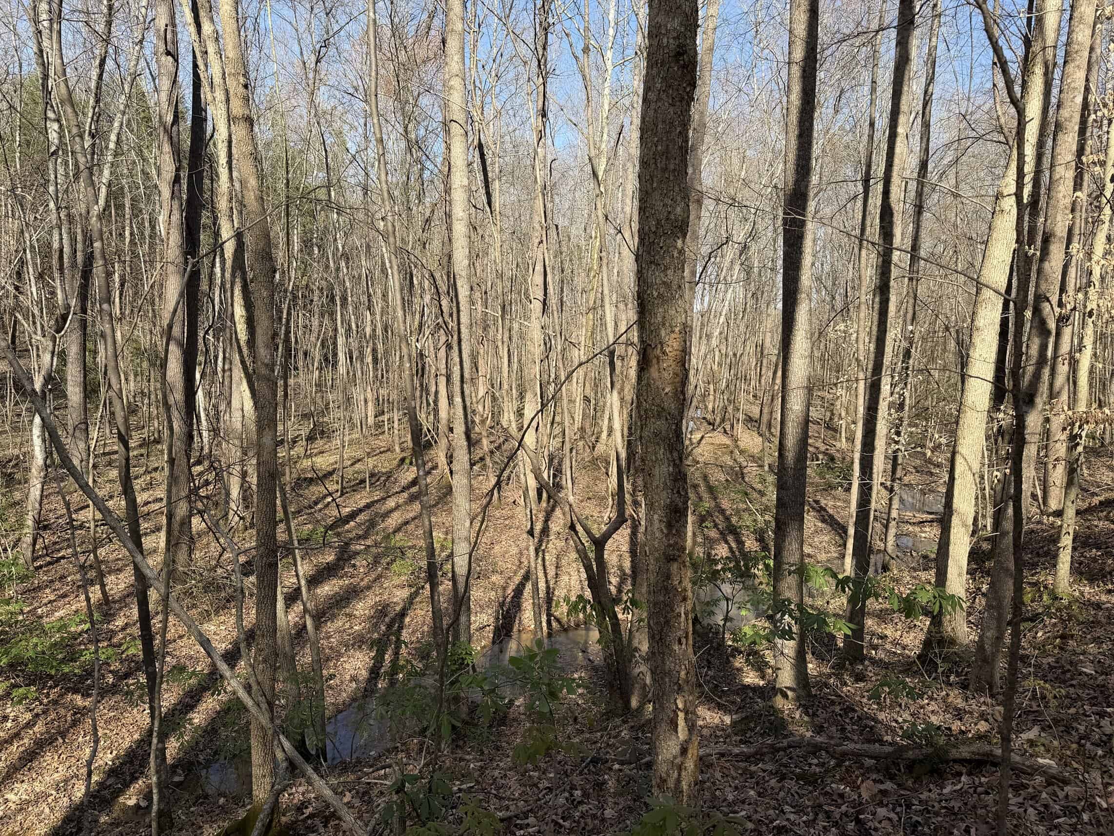 LAND & HOME FOR SALE IN TN, BASEMENT, WELL, CREEK, WOODED