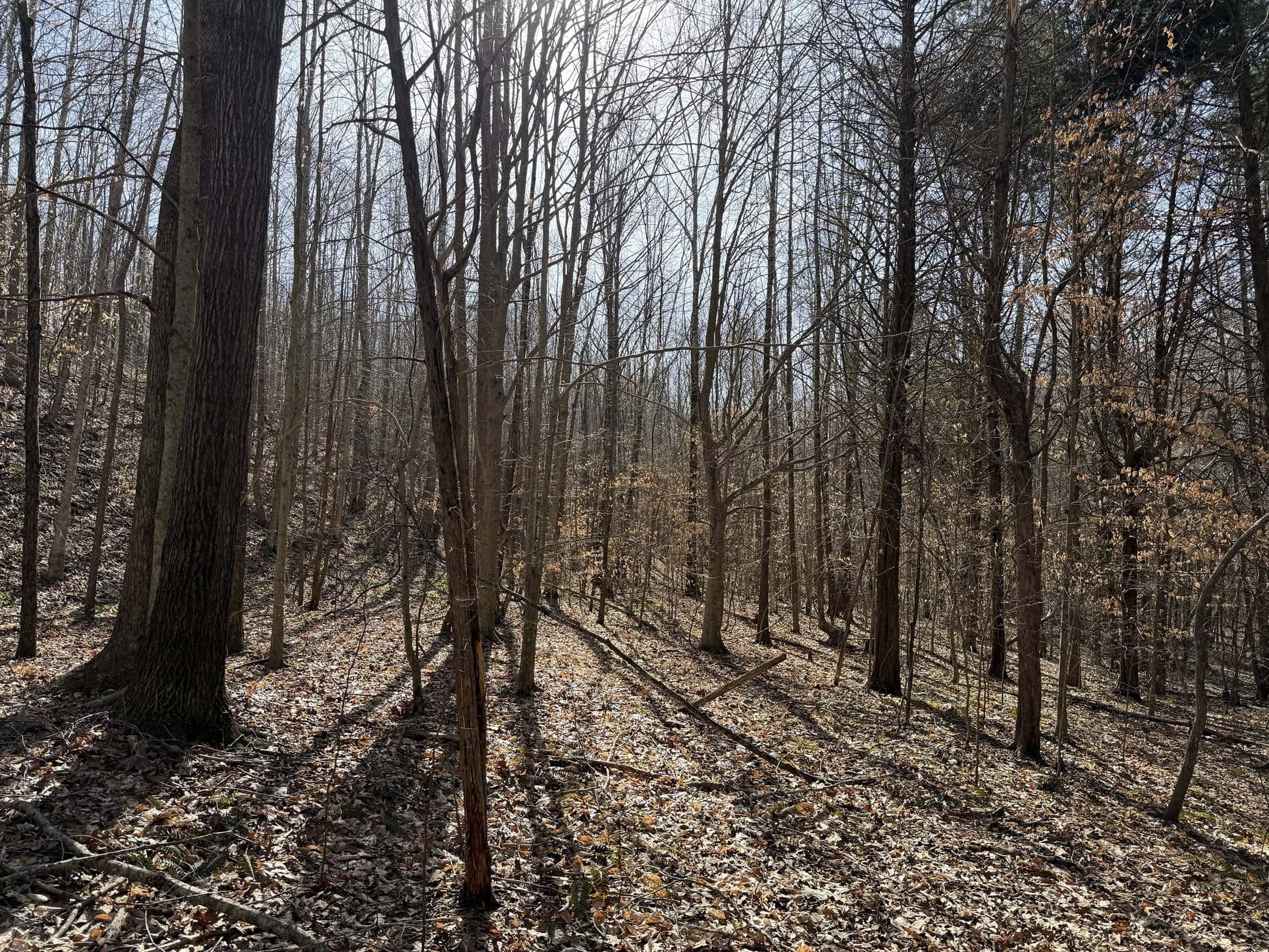 LAND & HOME FOR SALE IN TN, BASEMENT, WELL, CREEK, WOODED