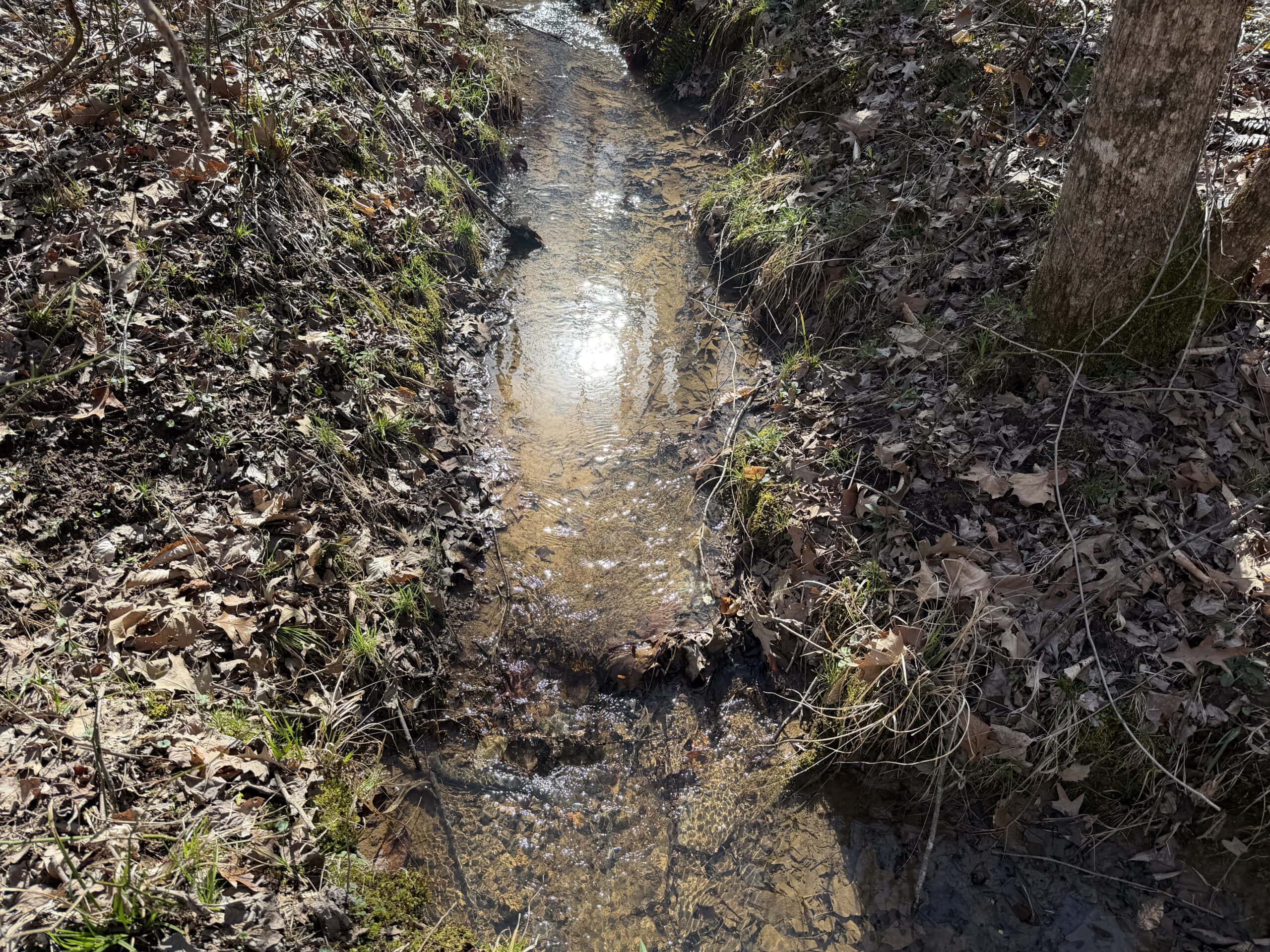 LAND & HOME FOR SALE IN TN, BASEMENT, WELL, CREEK, WOODED
