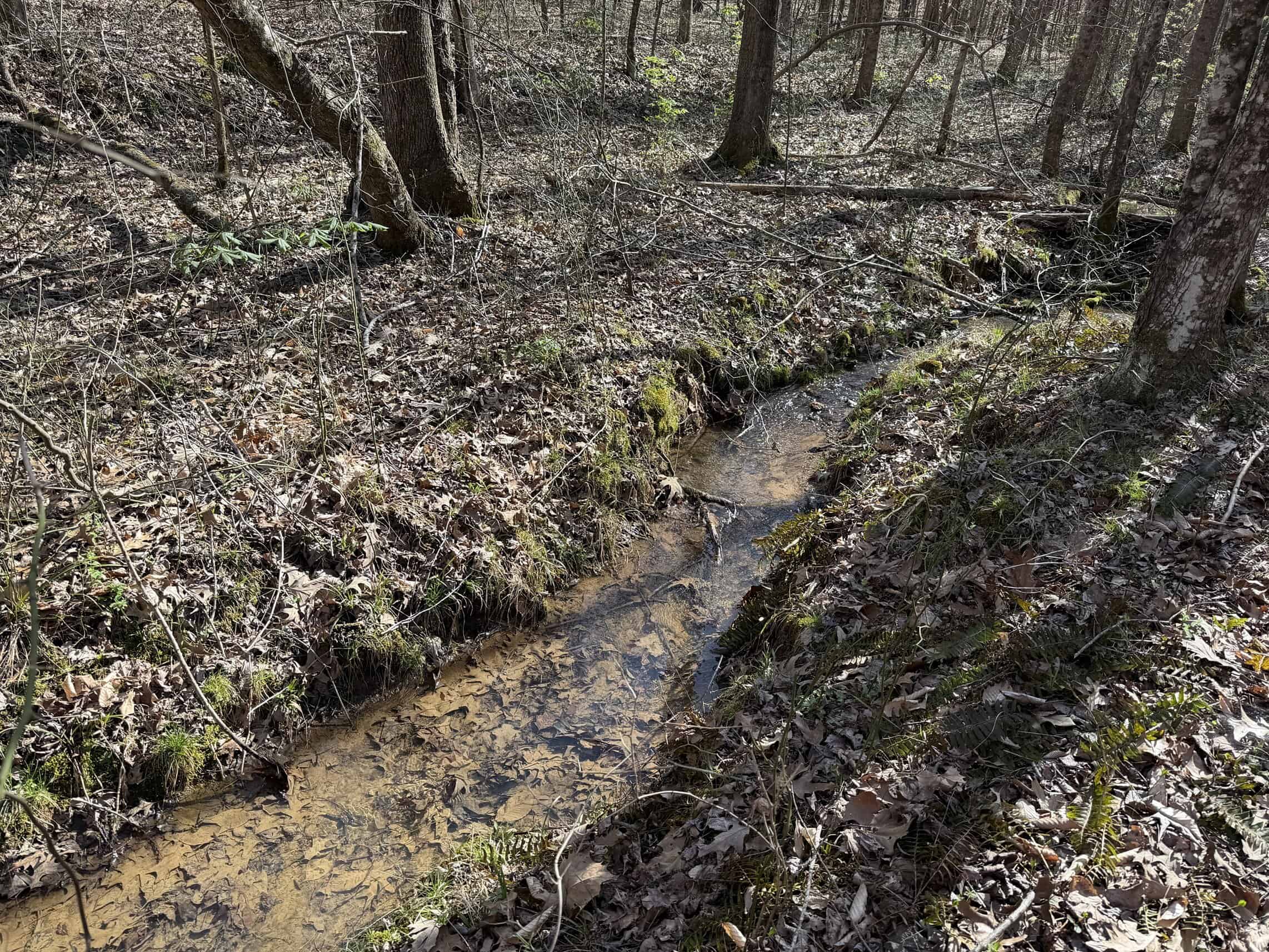 LAND & HOME FOR SALE IN TN, BASEMENT, WELL, CREEK, WOODED