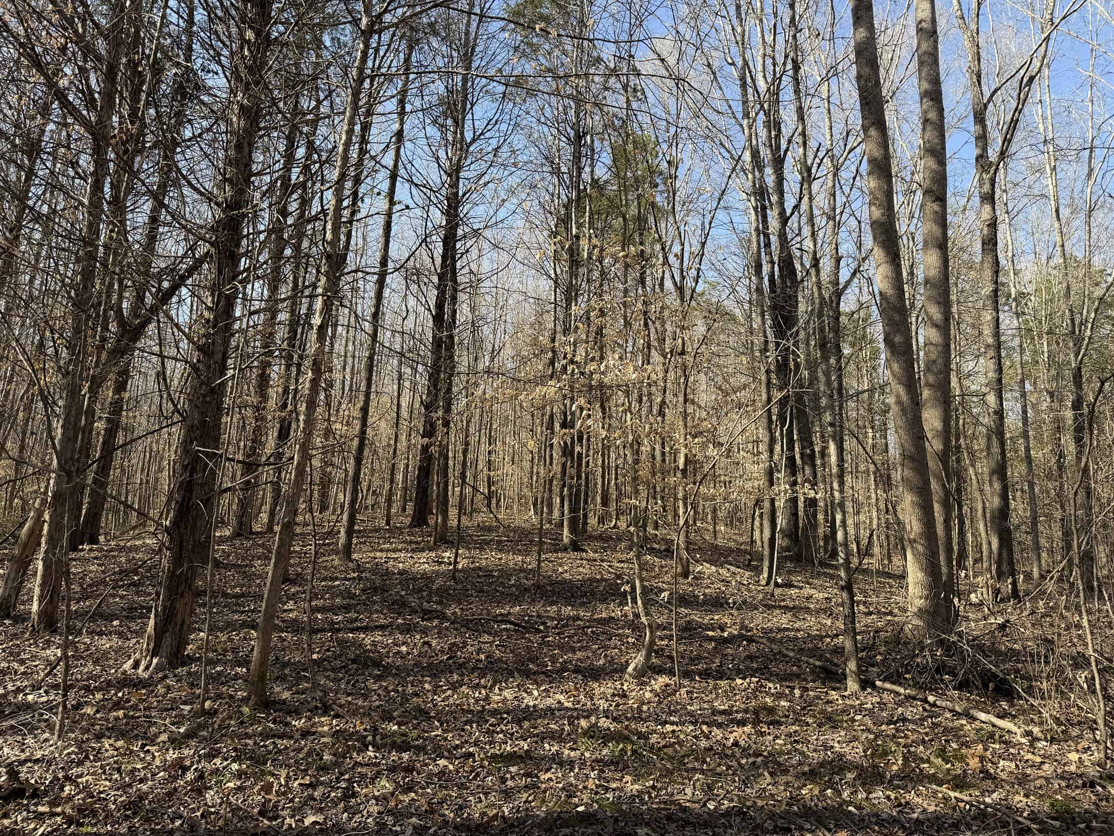 LAND & HOME FOR SALE IN TN, BASEMENT, WELL, CREEK, WOODED