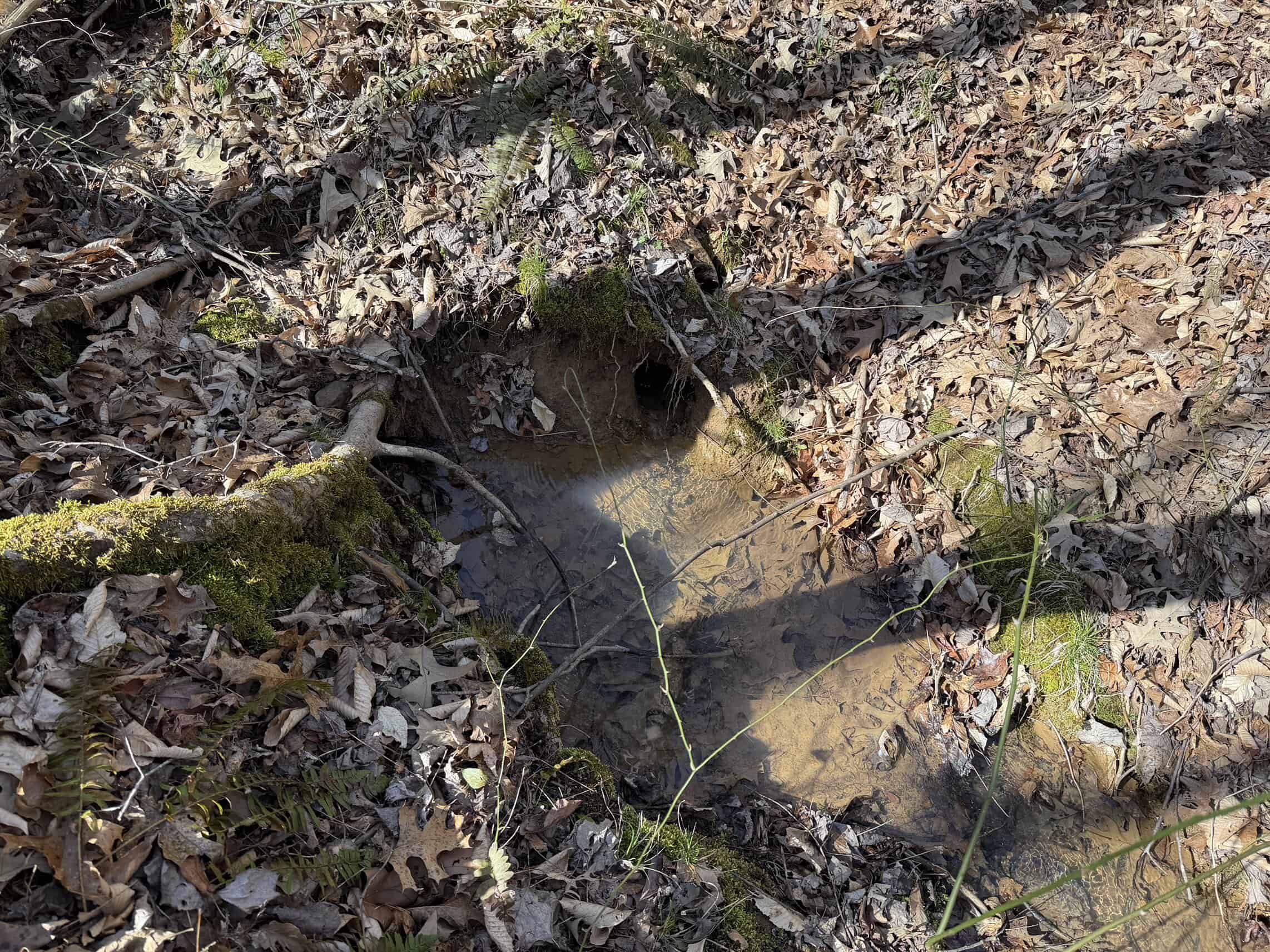 LAND & HOME FOR SALE IN TN, BASEMENT, WELL, CREEK, WOODED