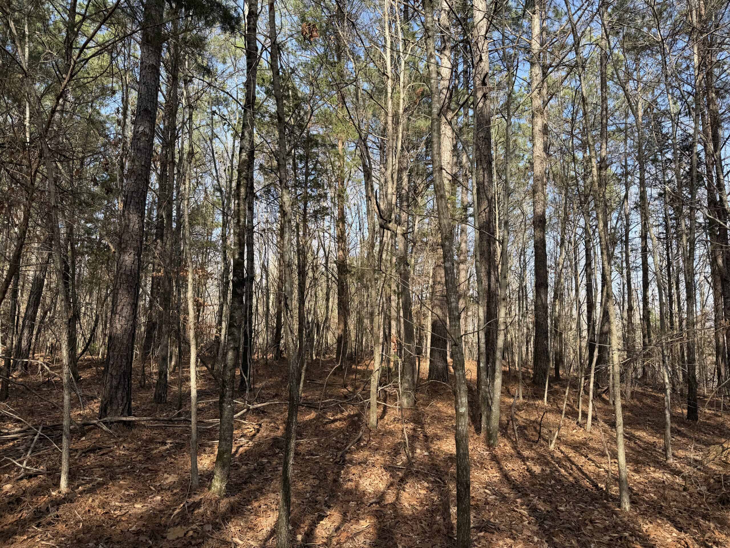 LAND & HOME FOR SALE IN TN, BASEMENT, WELL, CREEK, WOODED