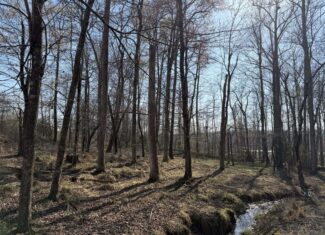LAND FOR SALE IN TN, DEER & DUCK HUNTING, FENCED PASTURE