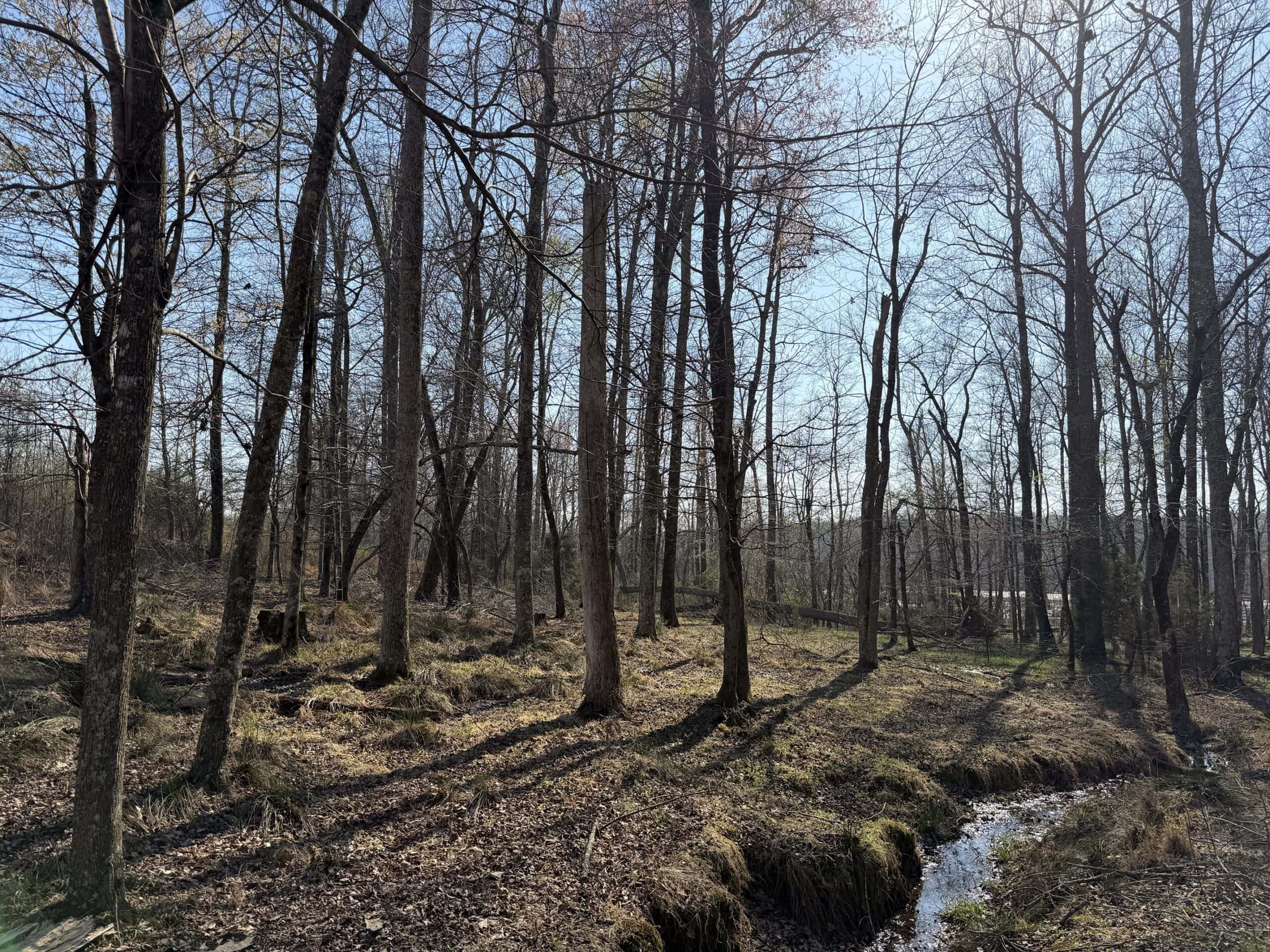 LAND FOR SALE IN TN, DEER & DUCK HUNTING, FENCED PASTURE