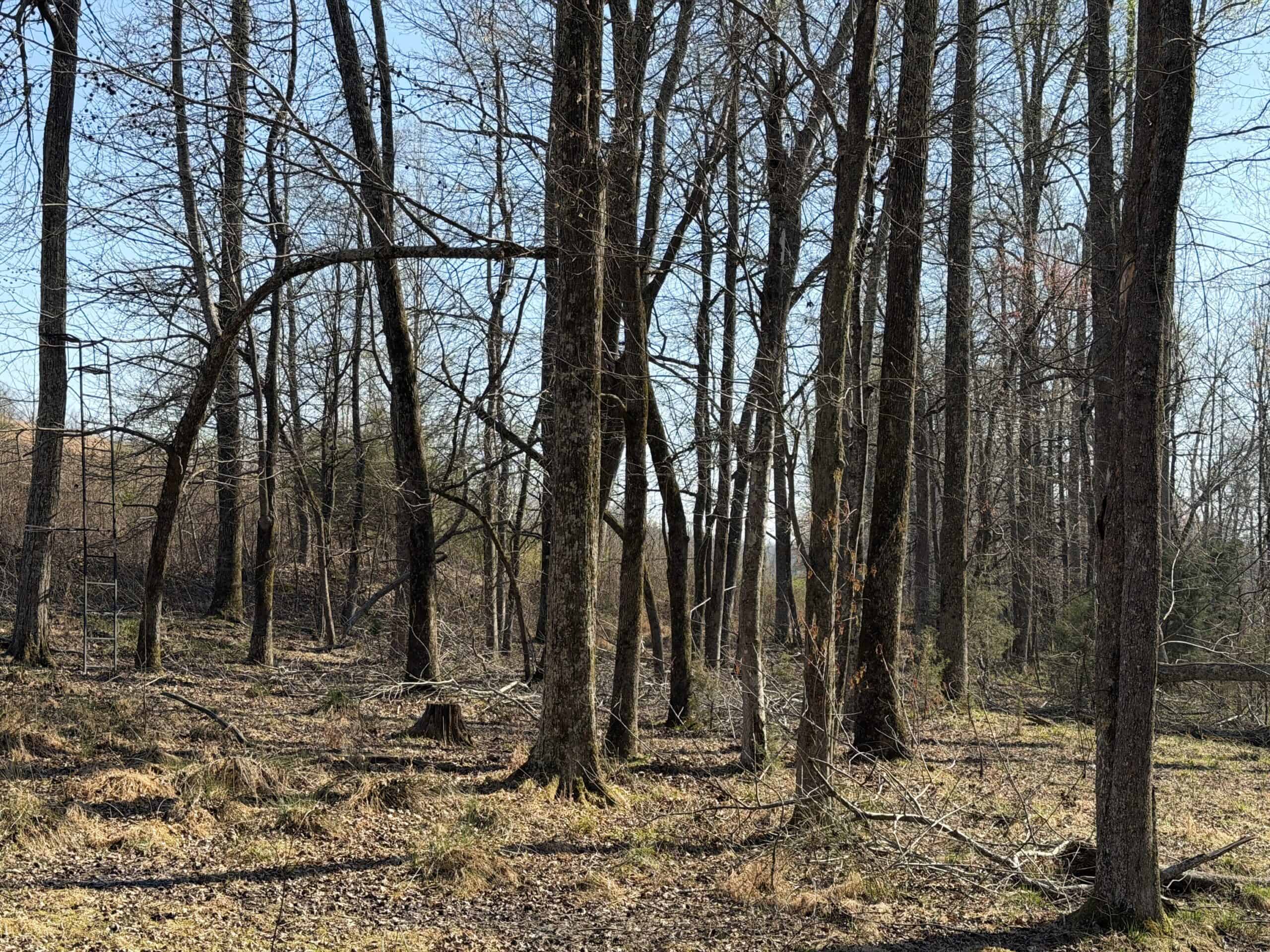 LAND FOR SALE IN TN, DEER & DUCK HUNTING, FENCED PASTURE