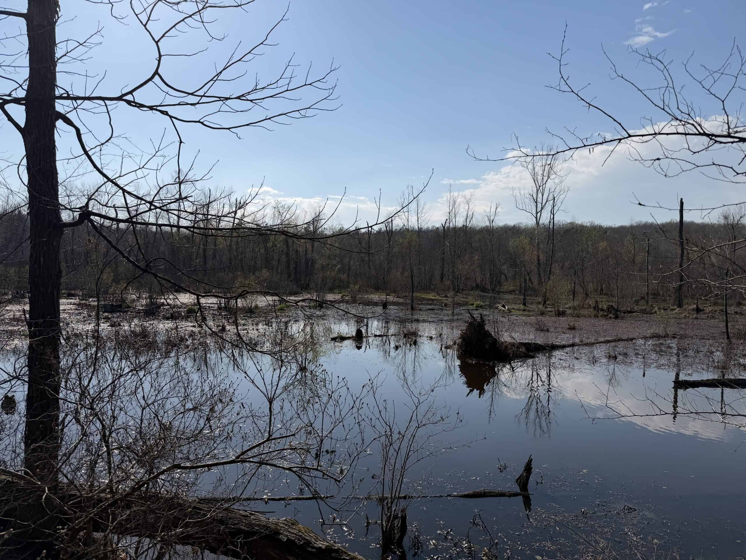 LAND FOR SALE IN TN, DEER & DUCK HUNTING, FENCED PASTURE