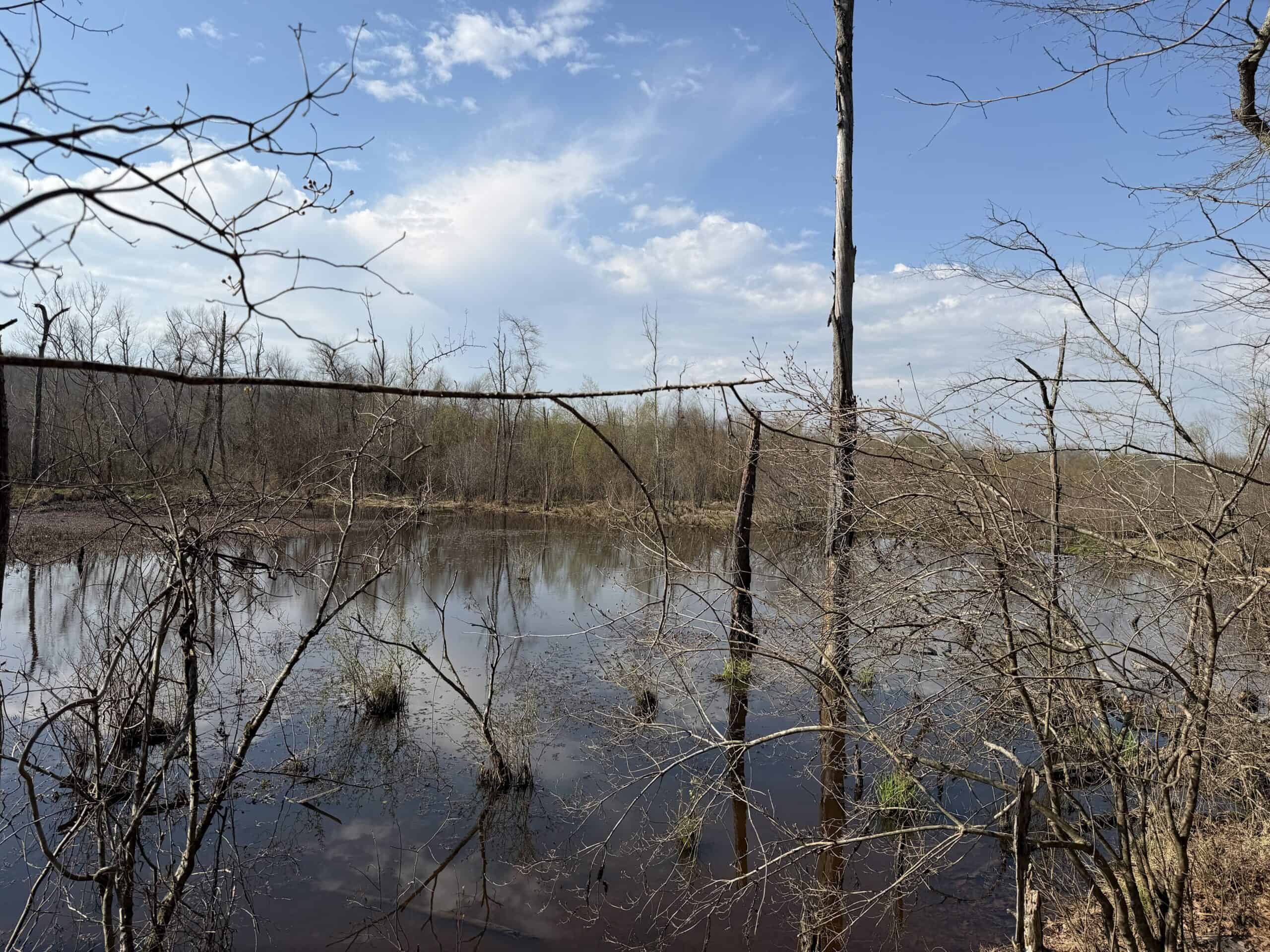 LAND FOR SALE IN TN, DEER & DUCK HUNTING, FENCED PASTURE