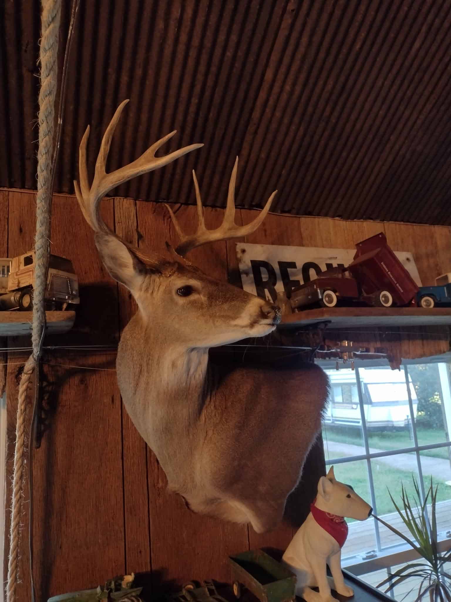 LAND FOR SALE IN TN, DEER & DUCK HUNTING, FENCED PASTURE