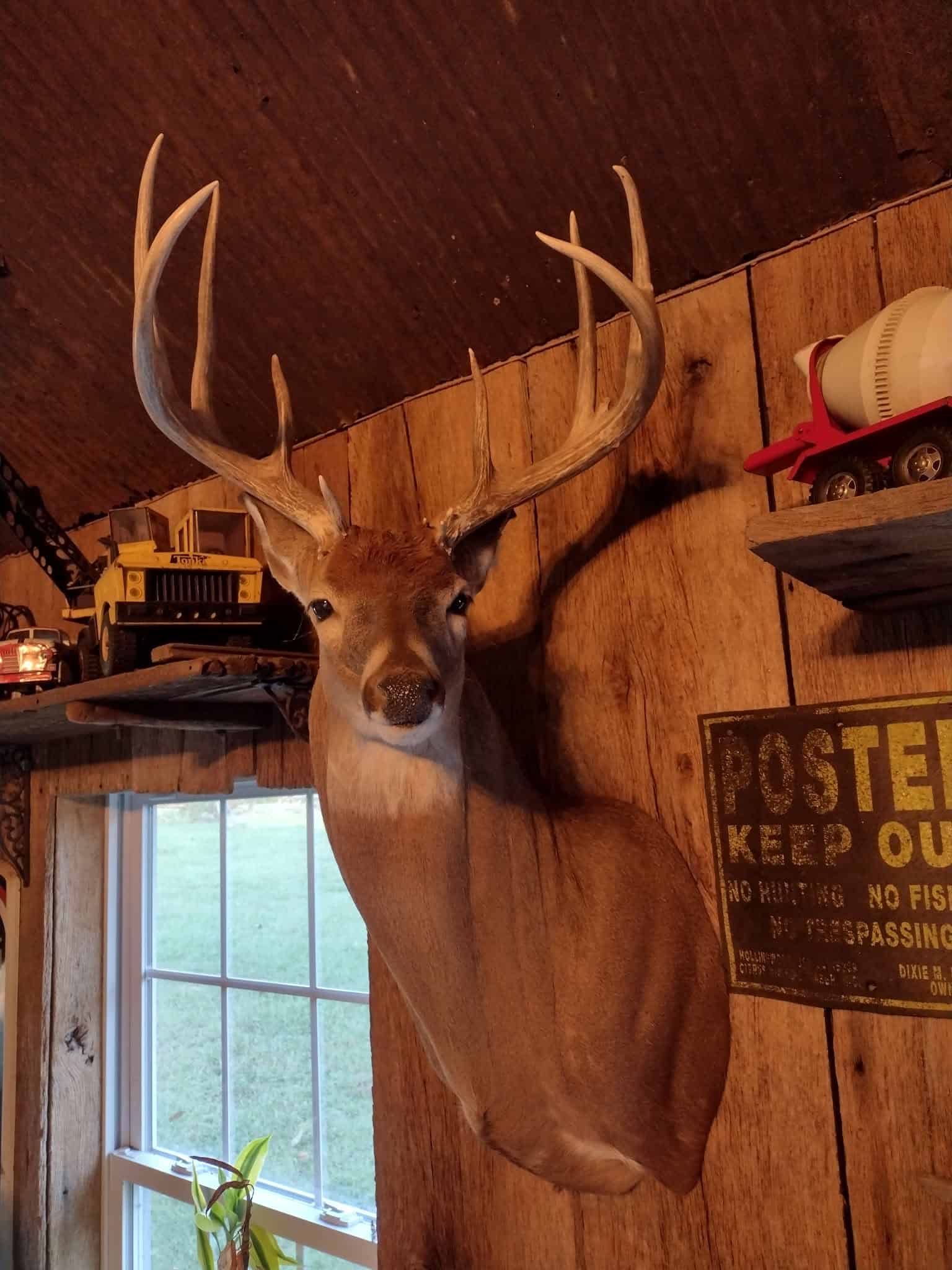 LAND FOR SALE IN TN, DEER & DUCK HUNTING, FENCED PASTURE