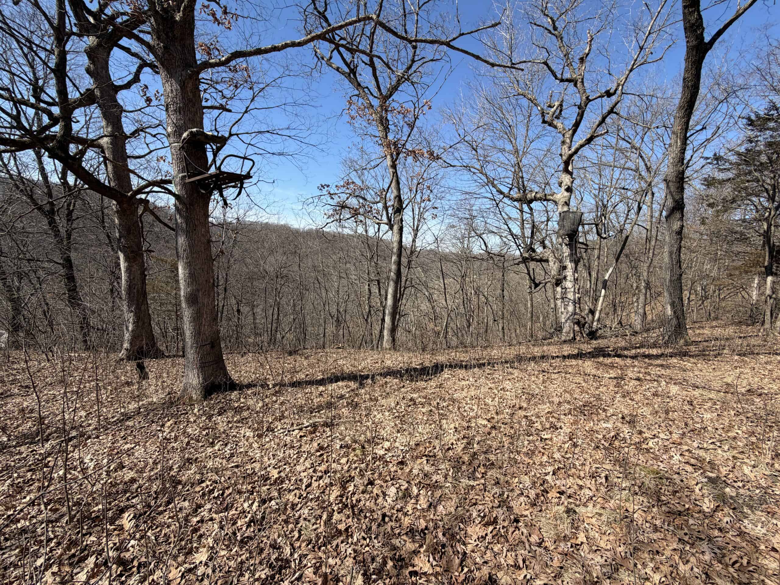 16.51 Acres, Mostly Wooded, Spring, Excellent Hunting SW Wisconsin