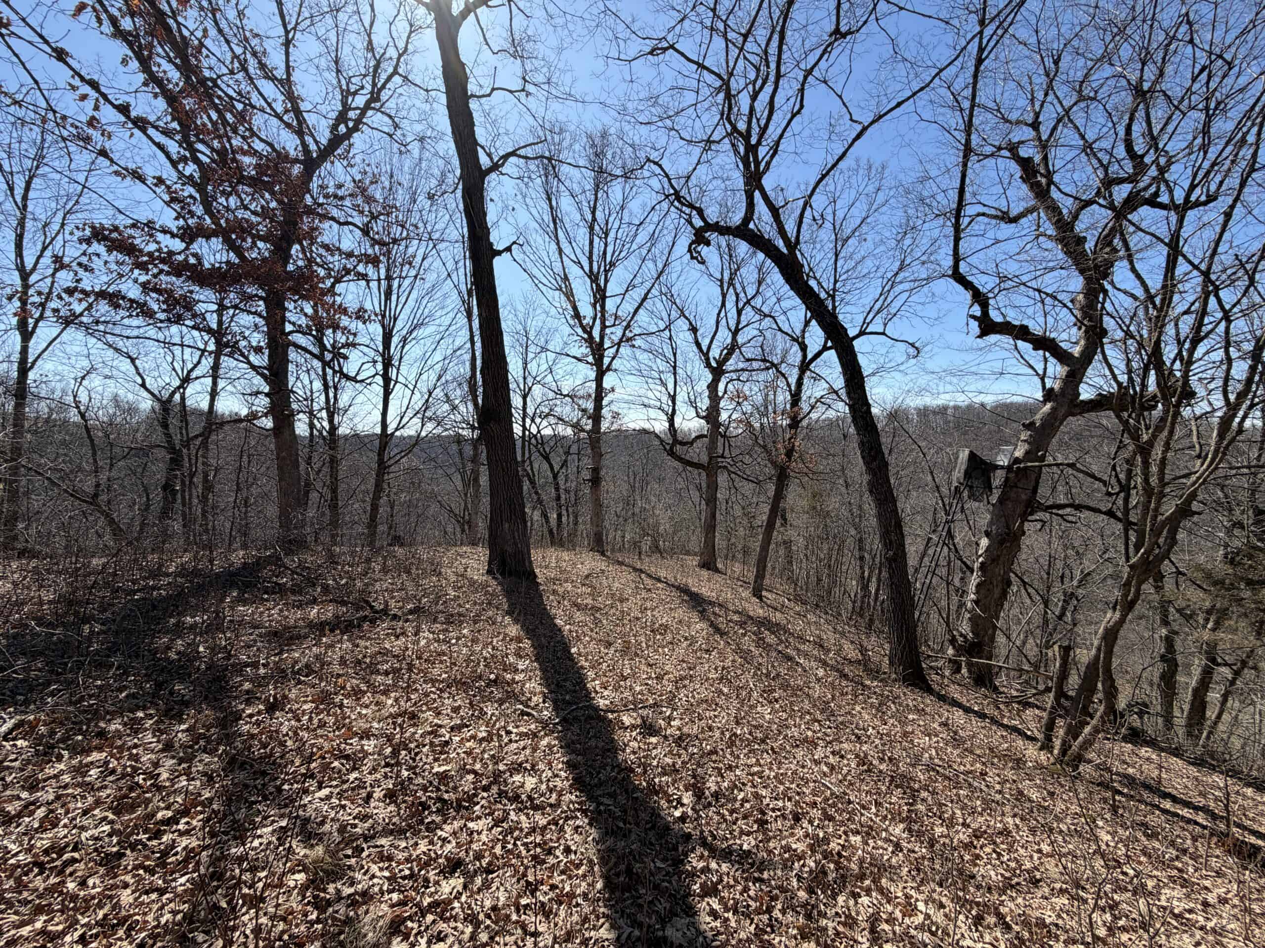 16.51 Acres, Mostly Wooded, Spring, Excellent Hunting SW Wisconsin