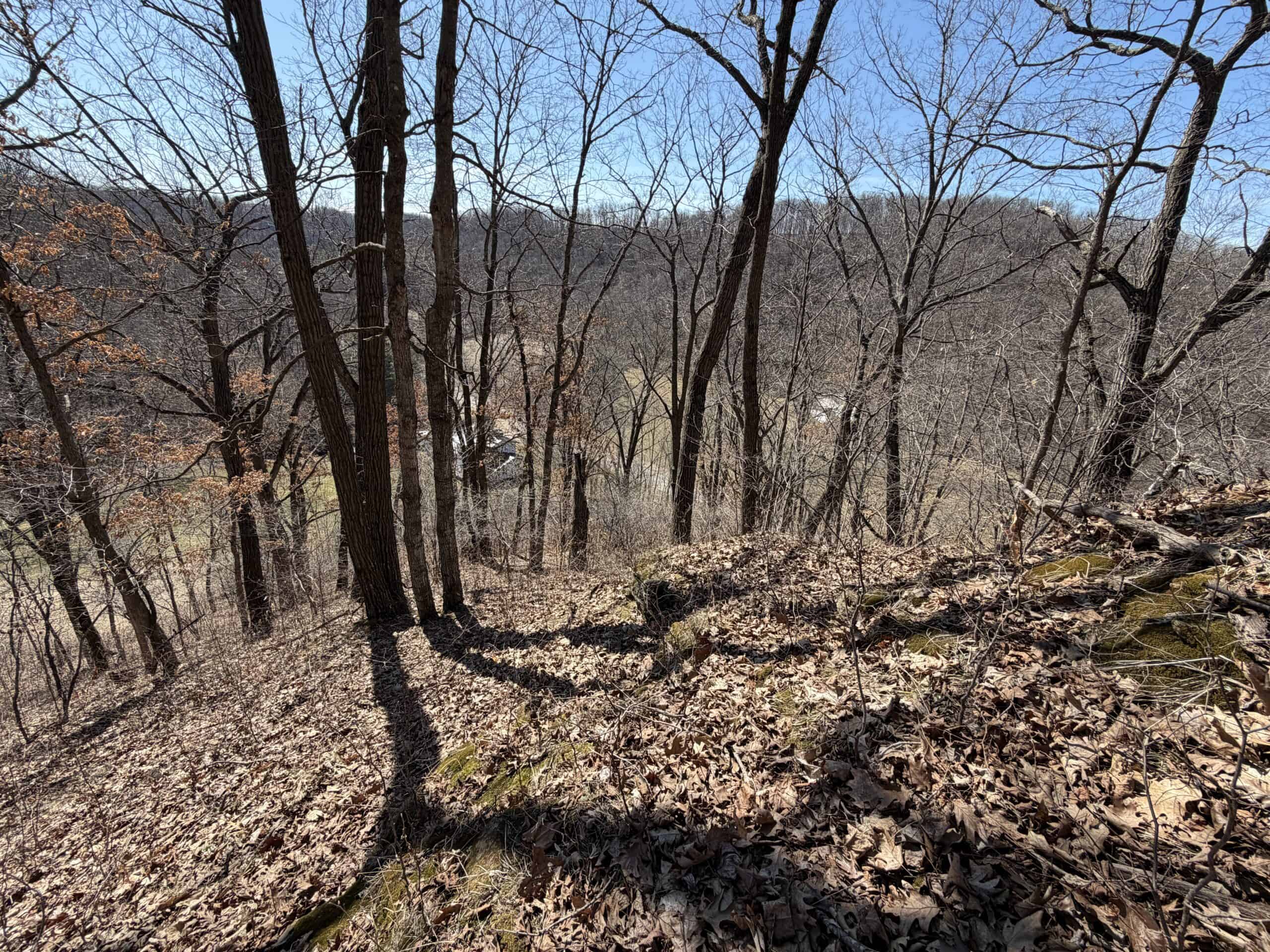 16.51 Acres, Mostly Wooded, Spring, Excellent Hunting SW Wisconsin