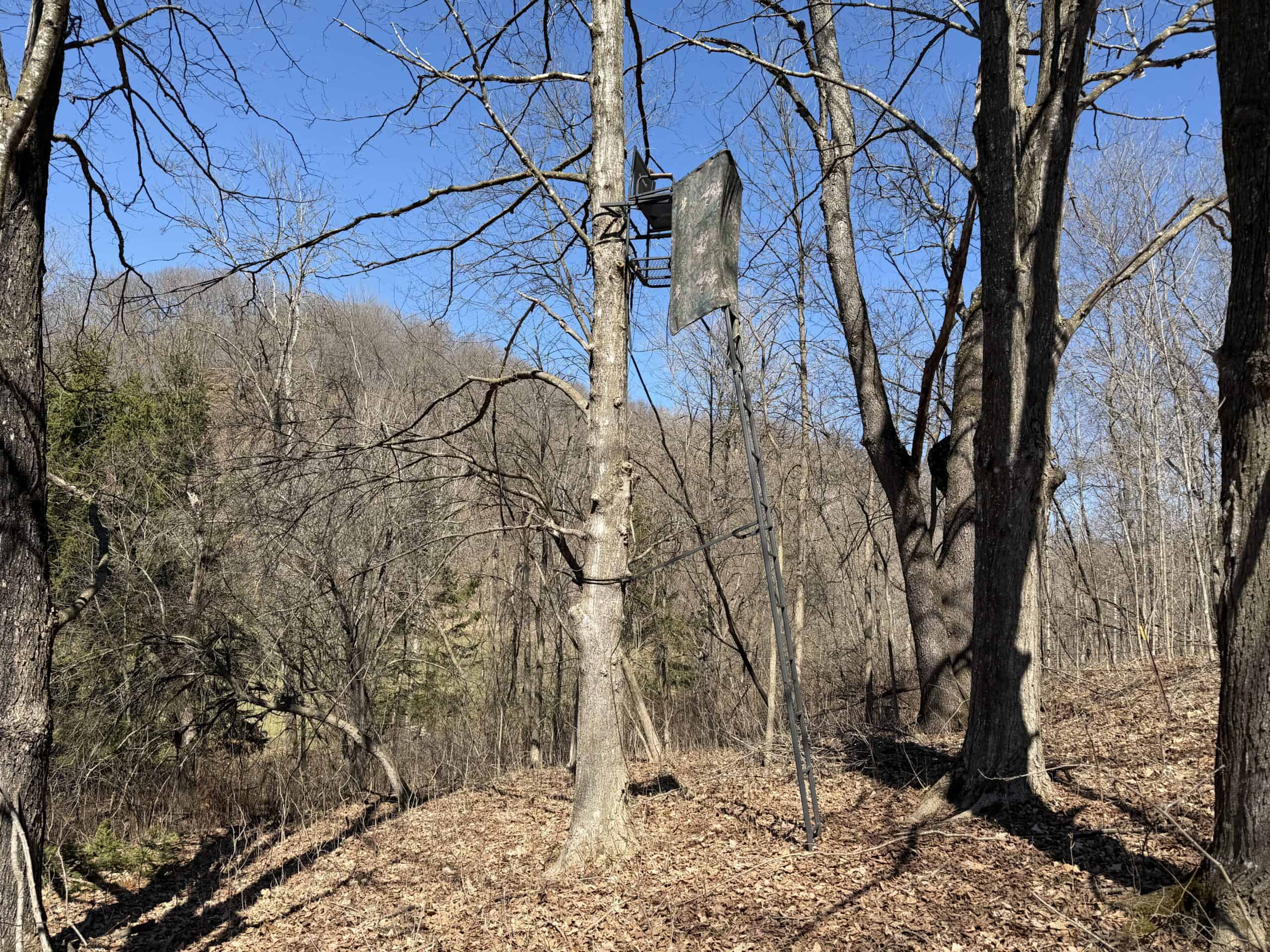 16.51 Acres, Mostly Wooded, Spring, Excellent Hunting SW Wisconsin