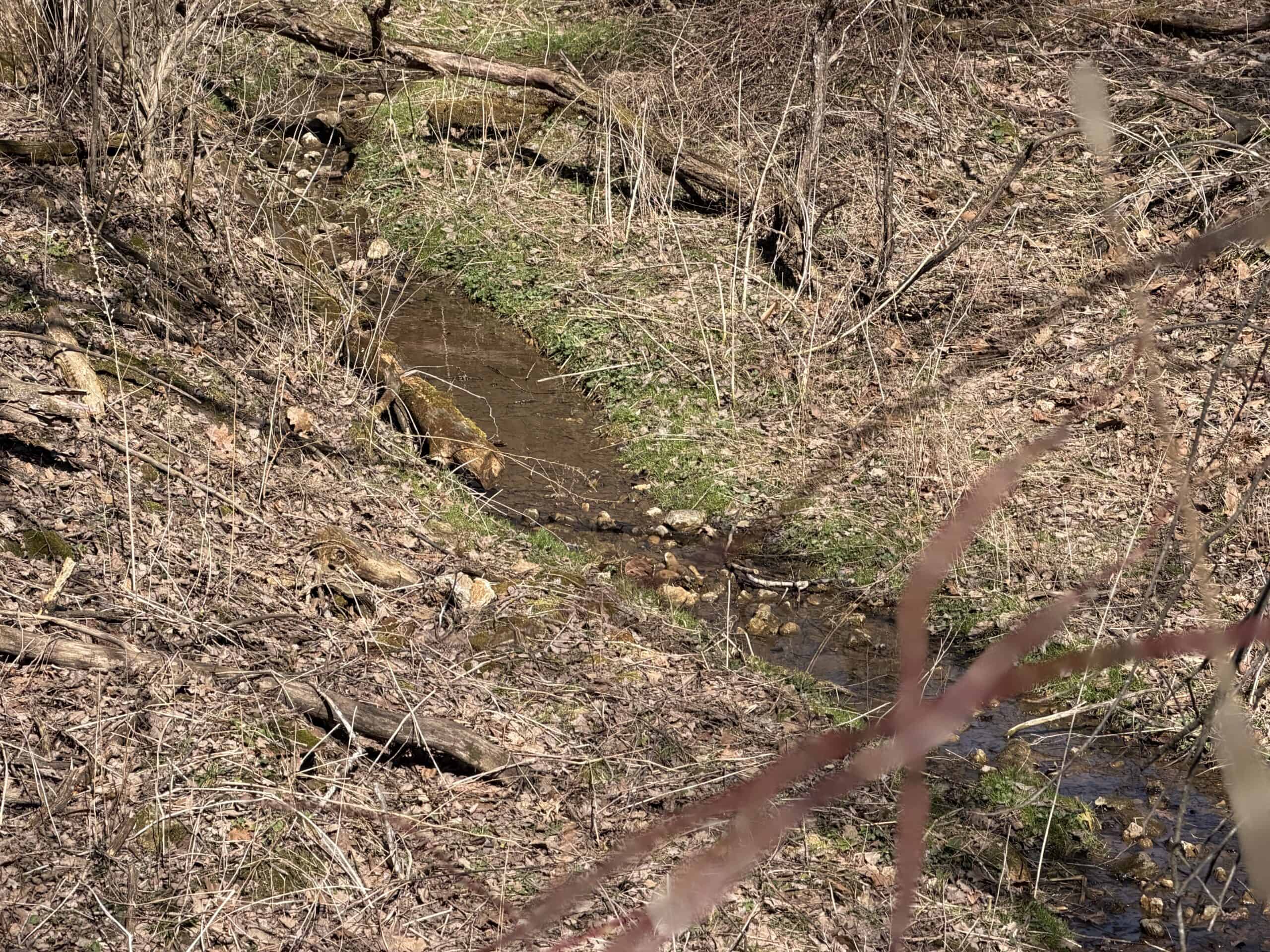 16.51 Acres, Mostly Wooded, Spring, Excellent Hunting SW Wisconsin