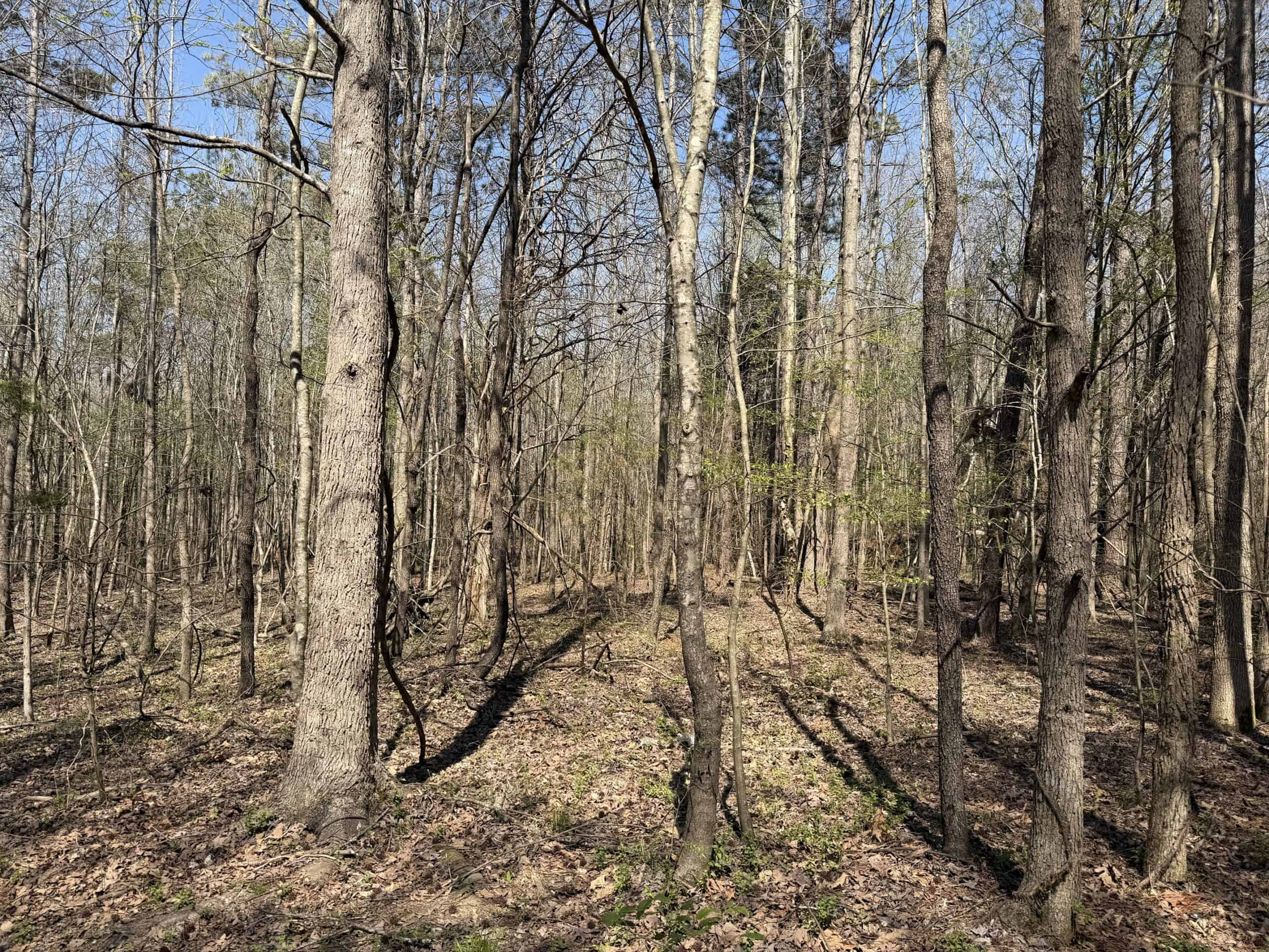 CABIN FOR SALE IN TN, HUNTING, STORAGE, SHELTER, WOODED