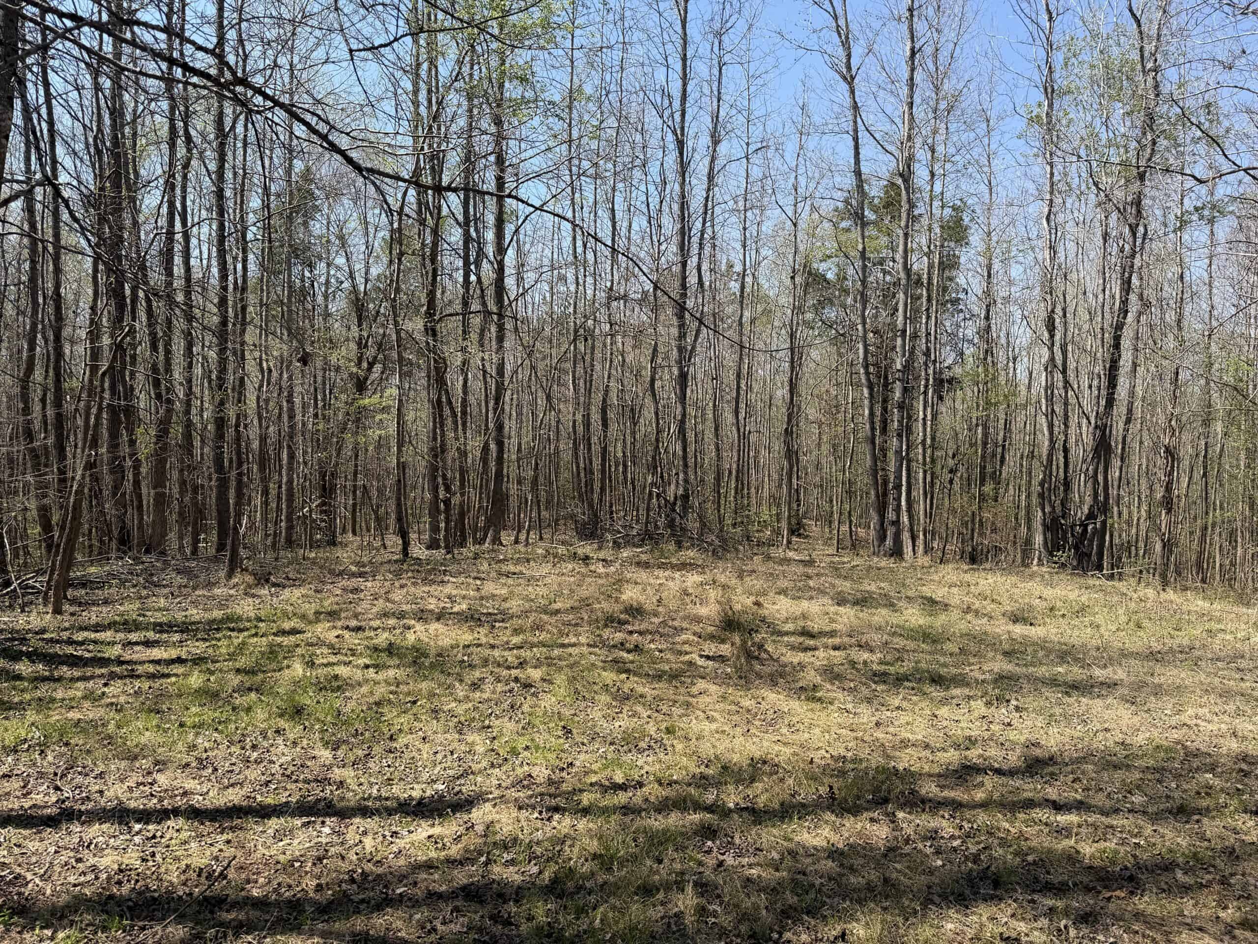 CABIN FOR SALE IN TN, HUNTING, STORAGE, SHELTER, WOODED
