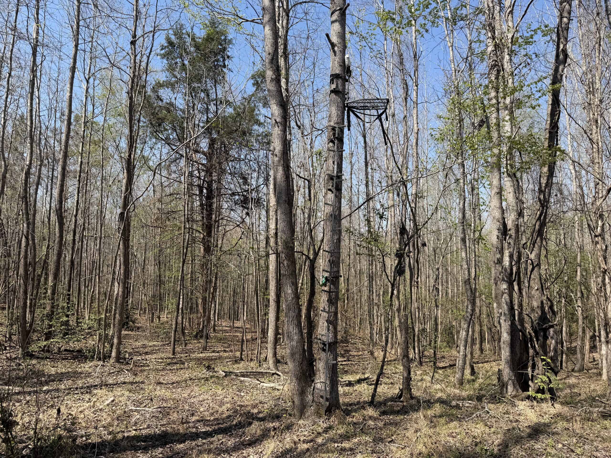 CABIN FOR SALE IN TN, HUNTING, STORAGE, SHELTER, WOODED