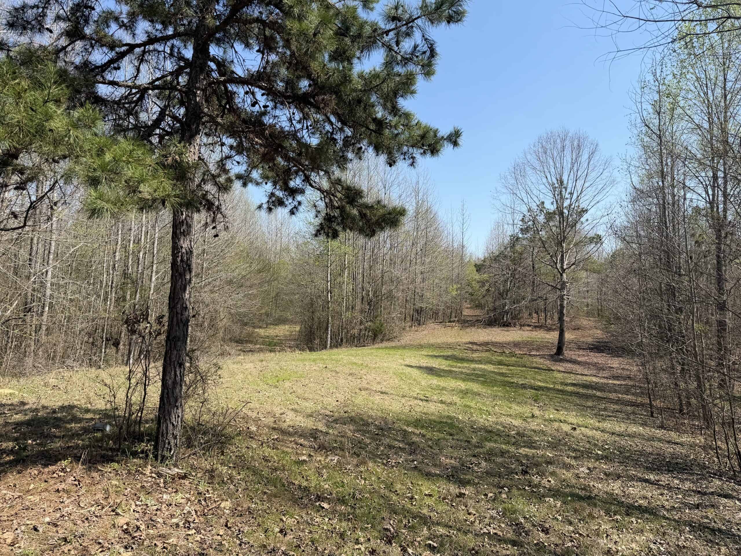 CABIN FOR SALE IN TN, HUNTING, STORAGE, SHELTER, WOODED