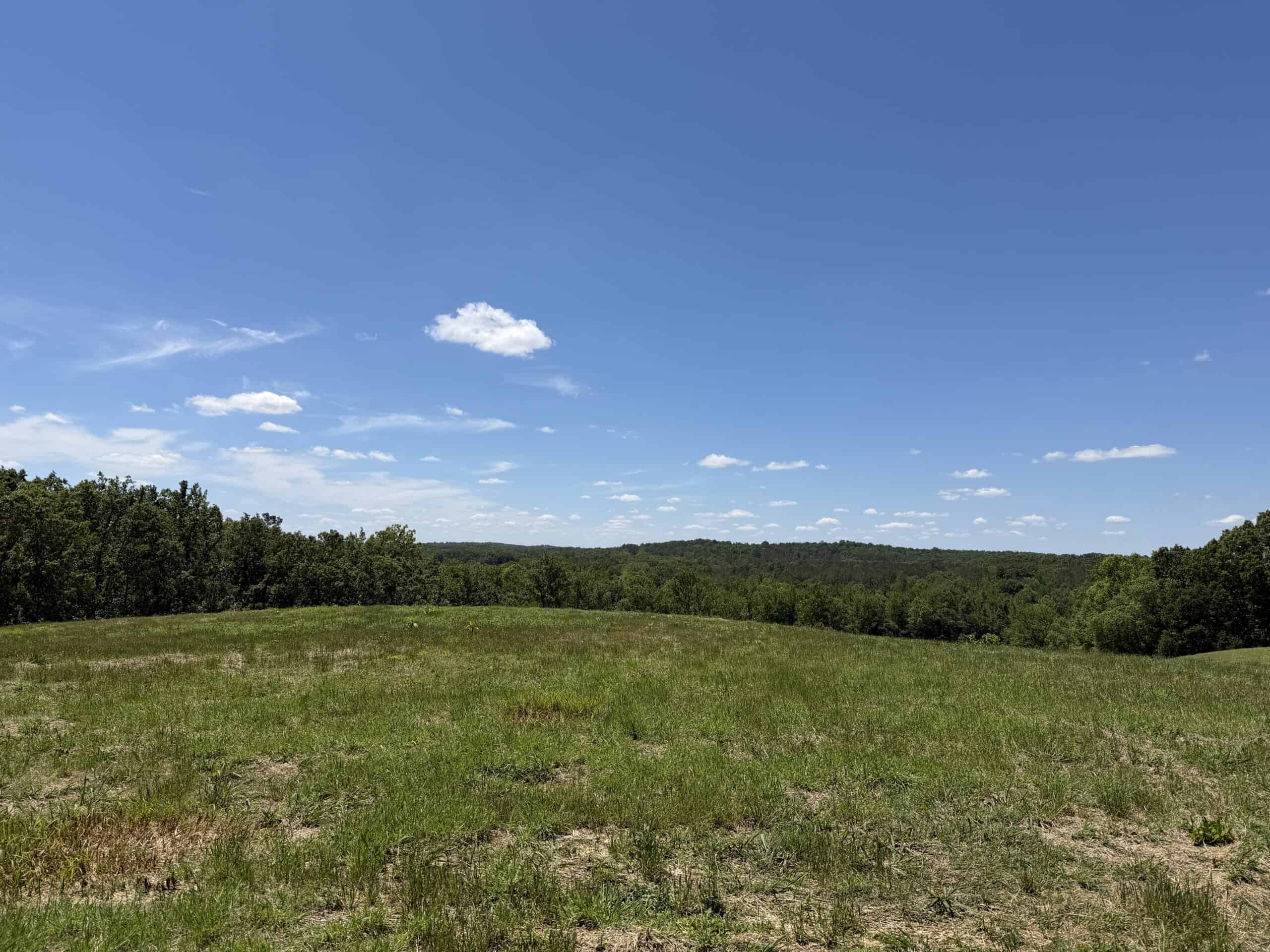 LAND FOR SALE IN TN, DEER & DUCK HUNTING, FENCED PASTURE