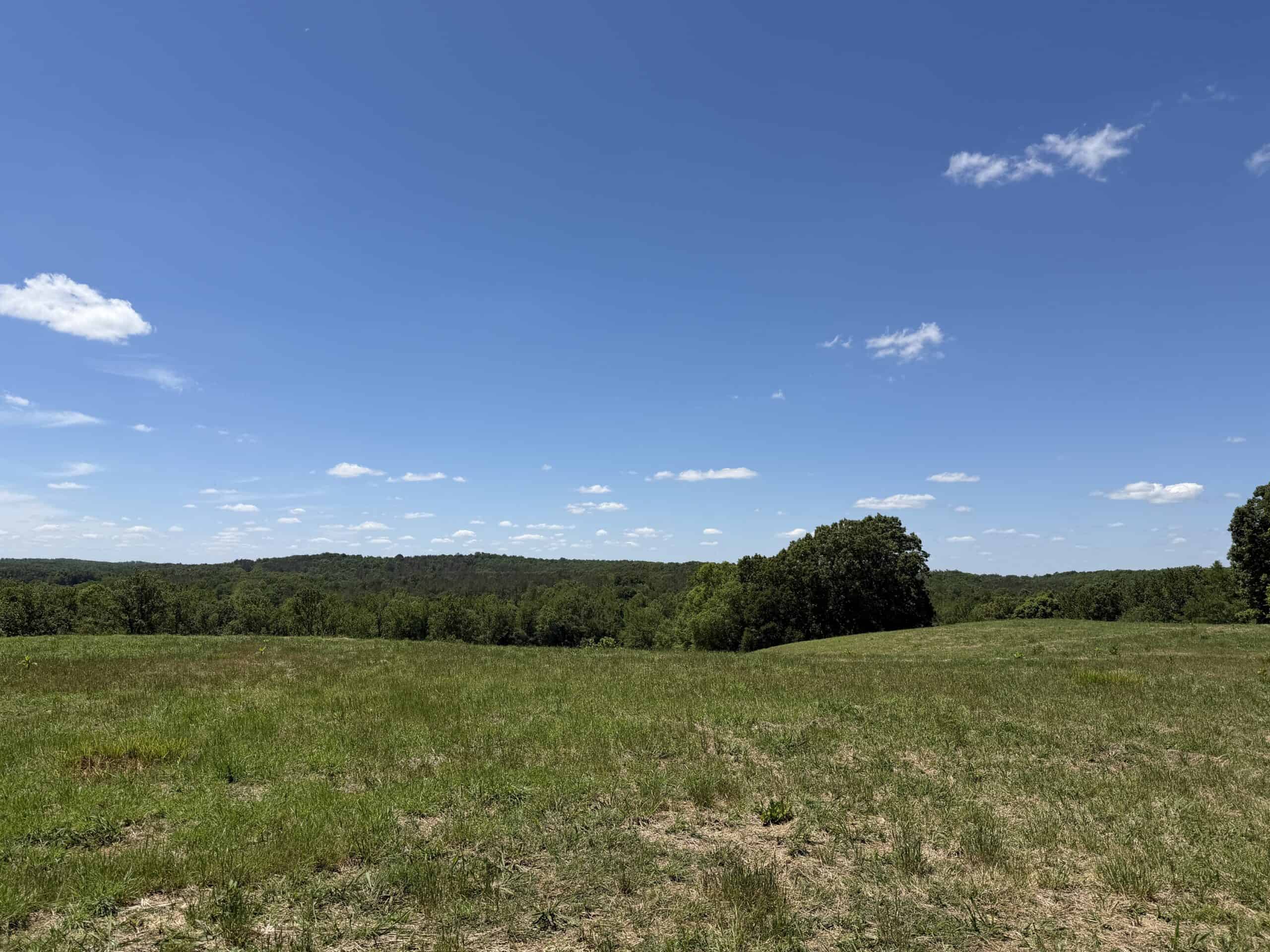 LAND FOR SALE IN TN, DEER & DUCK HUNTING, FENCED PASTURE