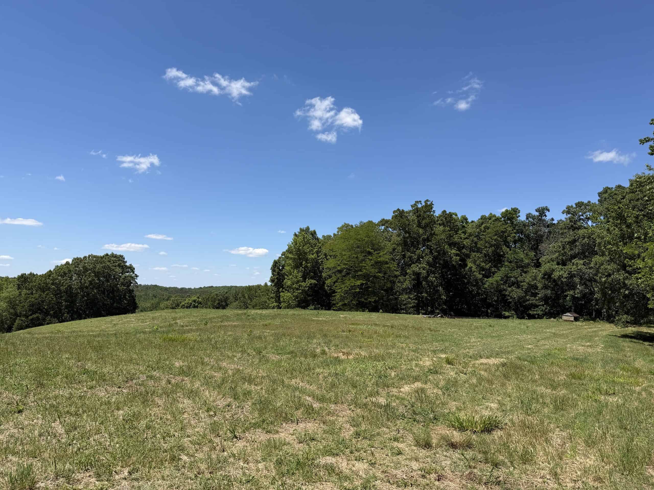 LAND FOR SALE IN TN, DEER & DUCK HUNTING, FENCED PASTURE