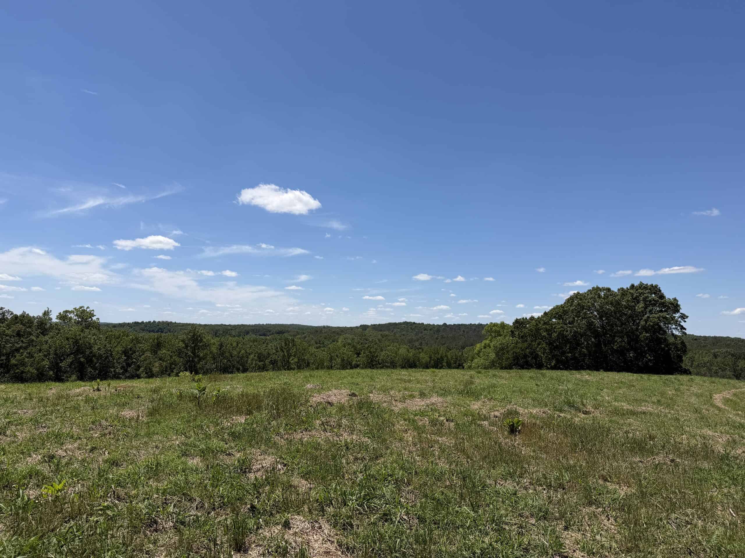 LAND FOR SALE IN TN, DEER & DUCK HUNTING, FENCED PASTURE