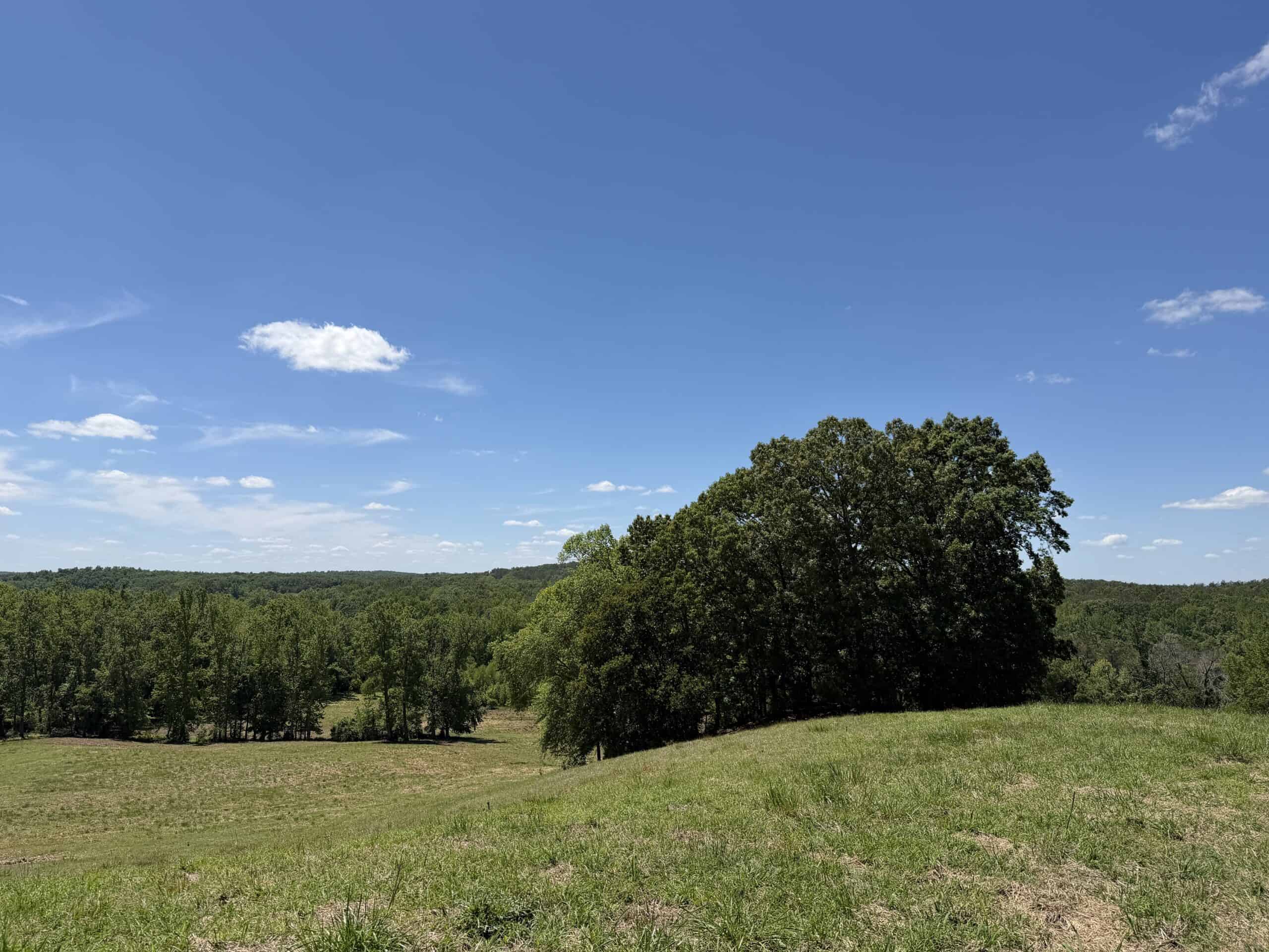 LAND FOR SALE IN TN, DEER & DUCK HUNTING, FENCED PASTURE